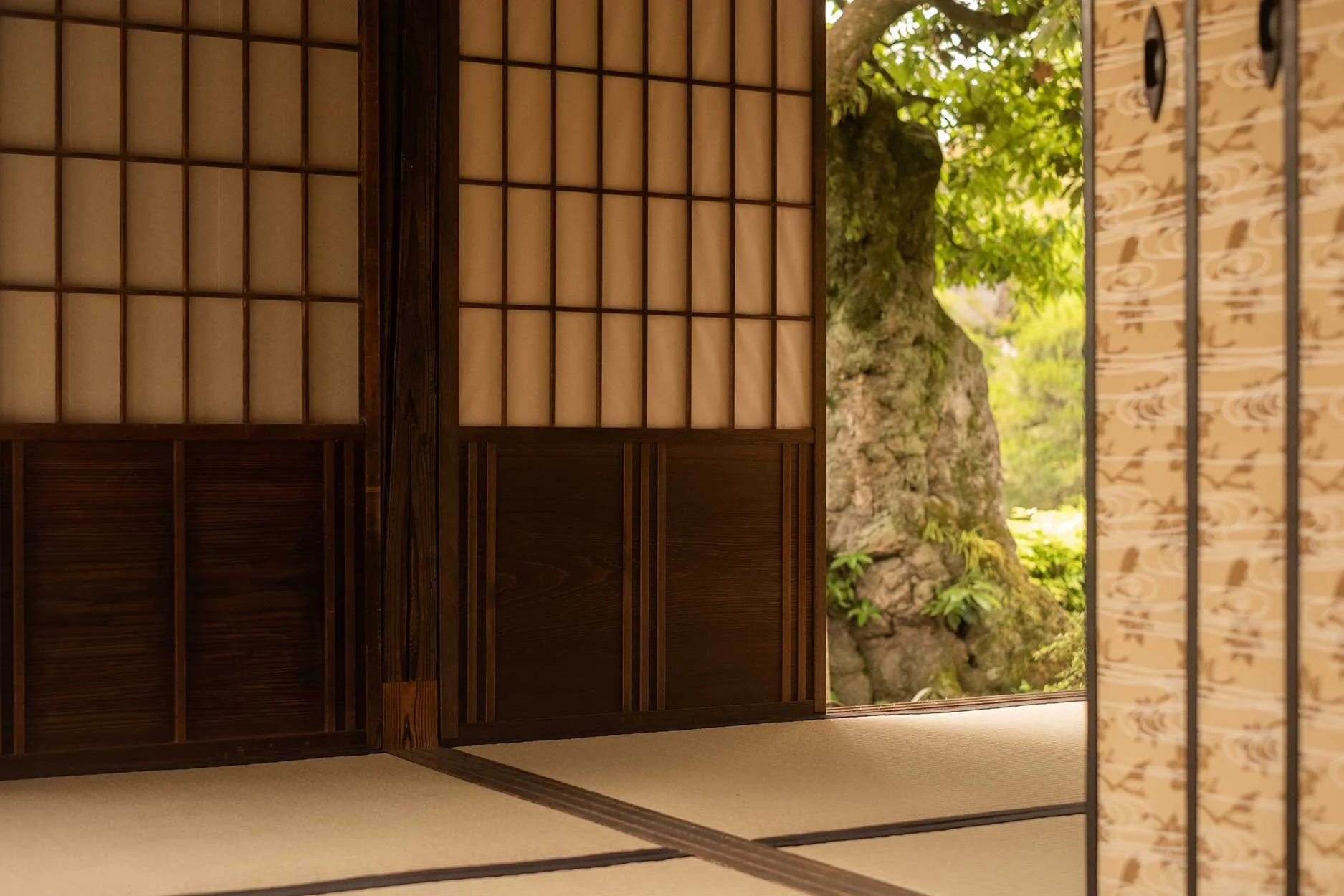katsura34.jpg