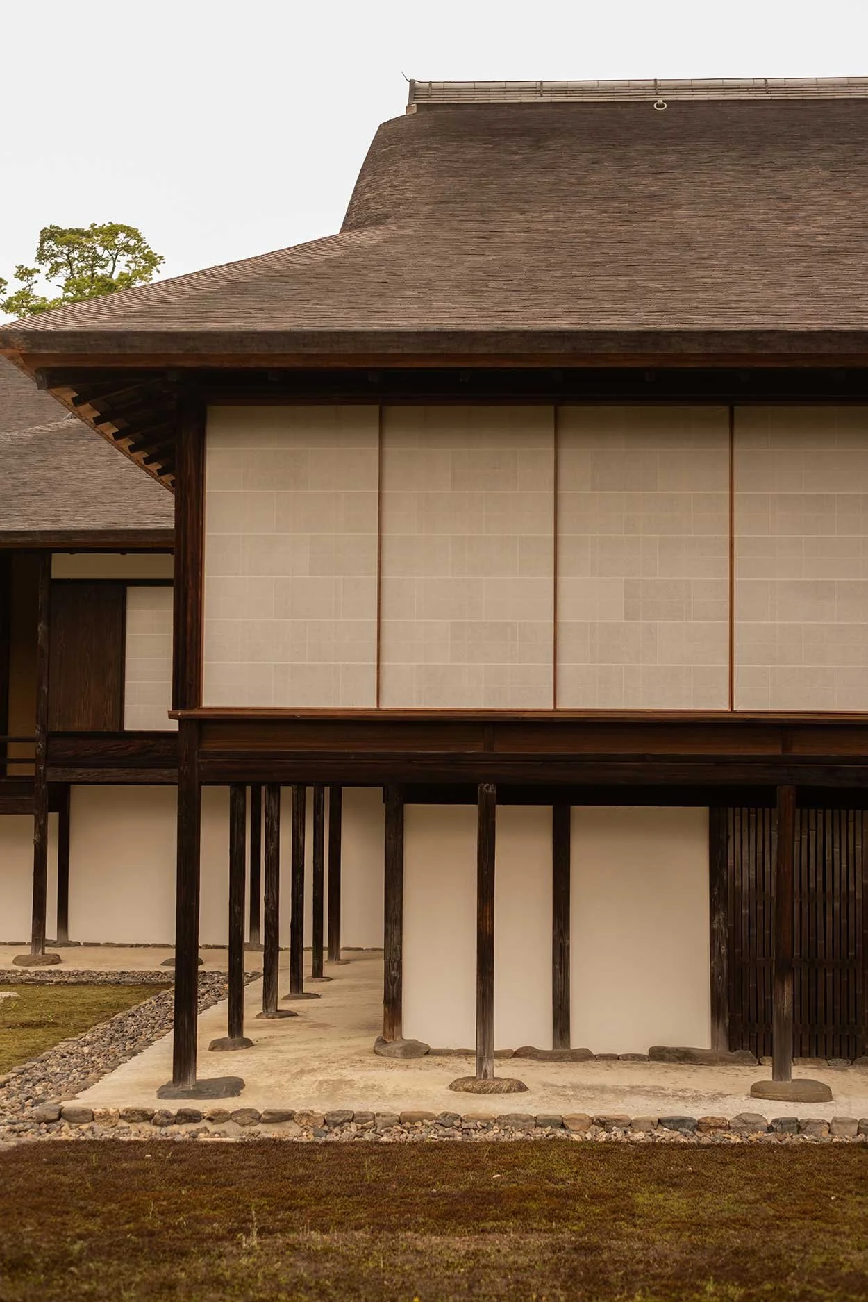 katsura25.jpg