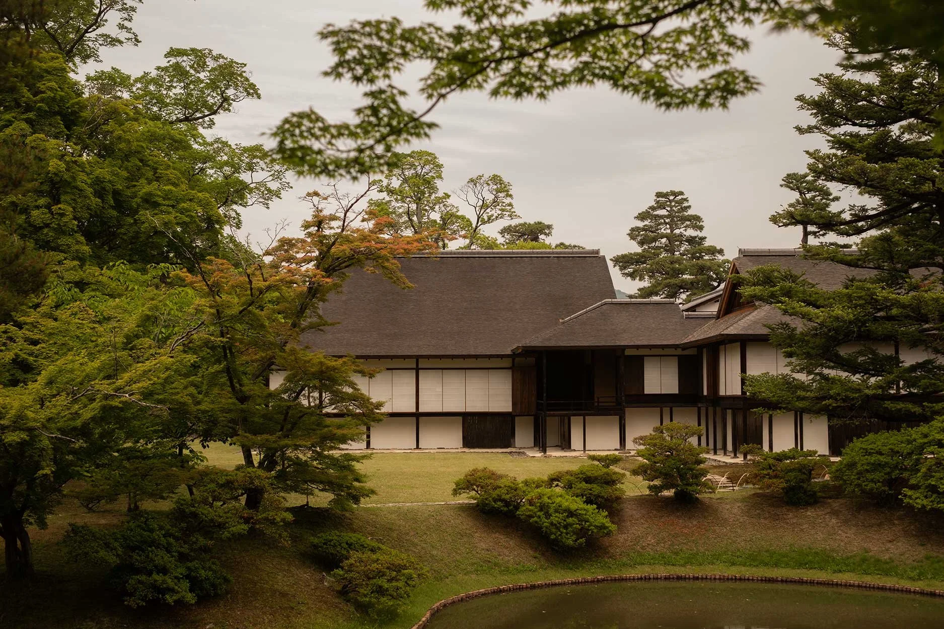 katsura17.jpg