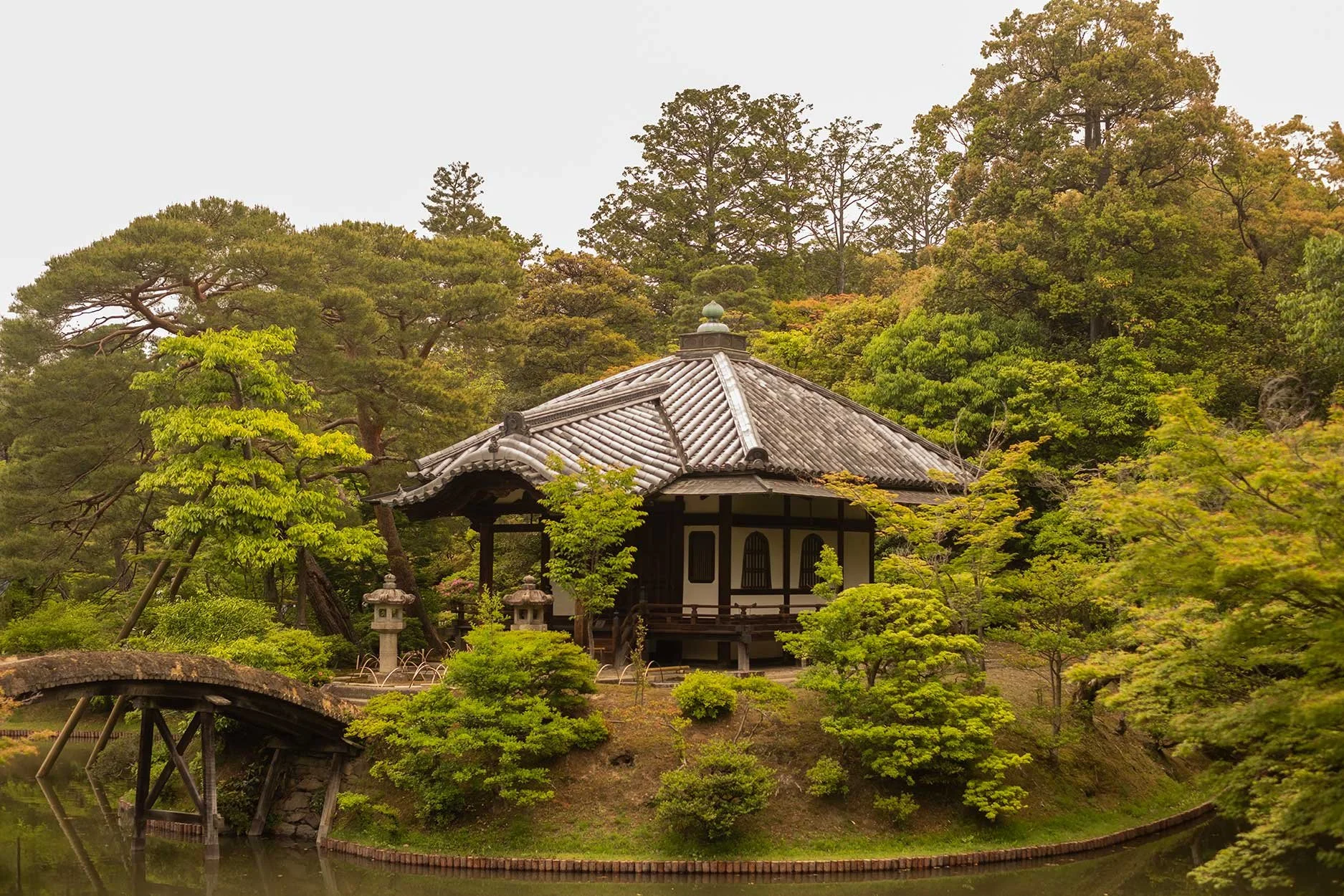 katsura22.jpg