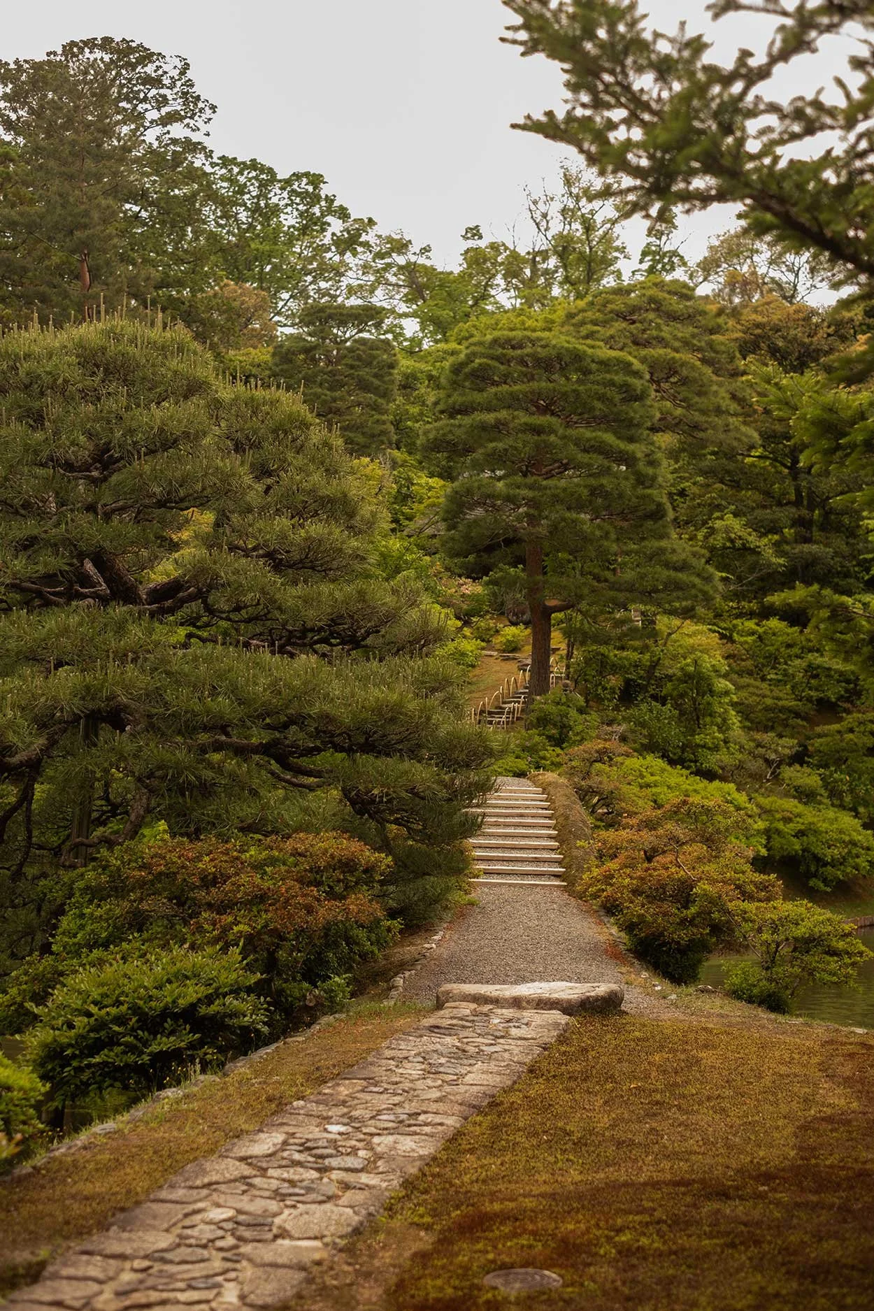 katsura26.jpg