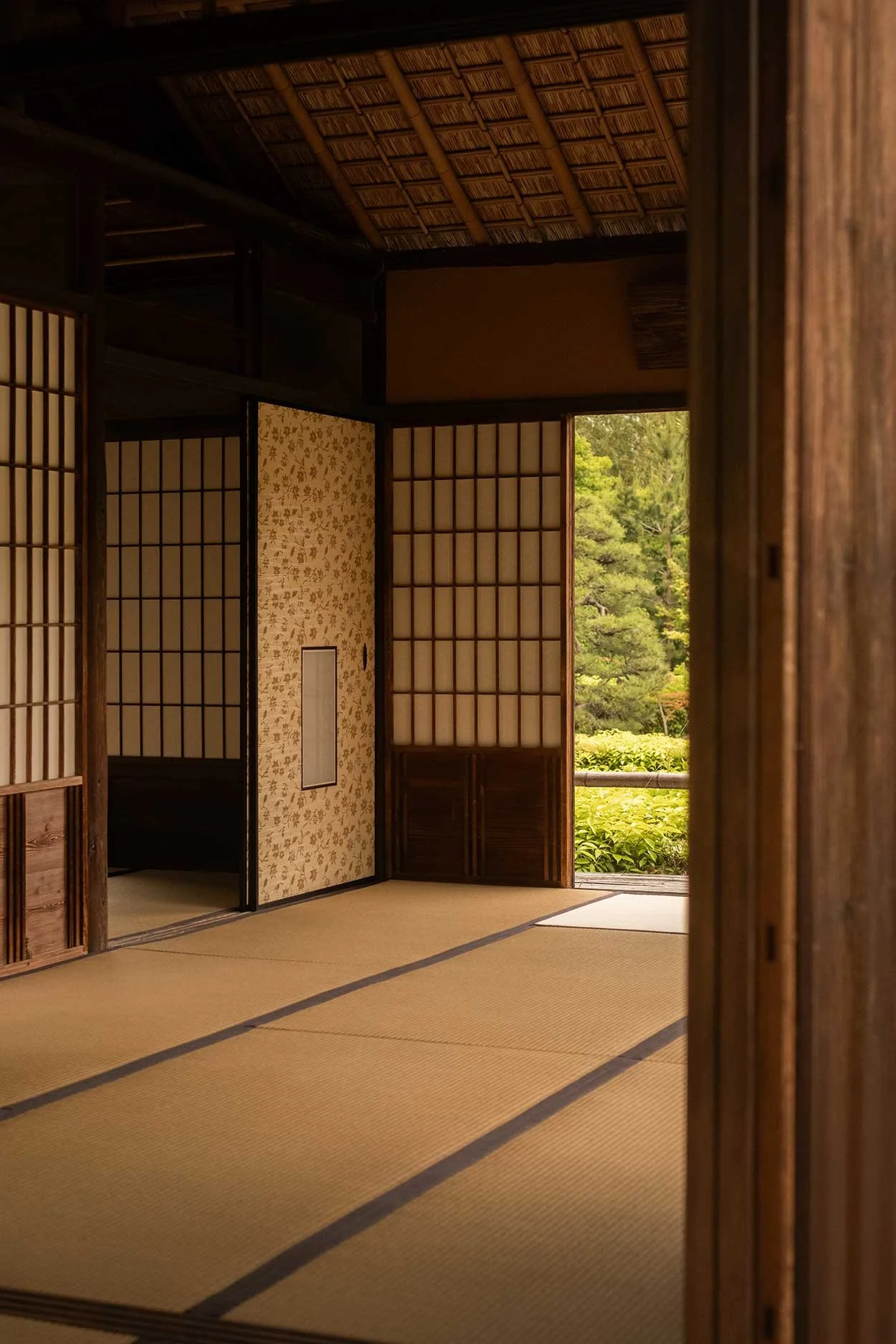 katsura28.jpg