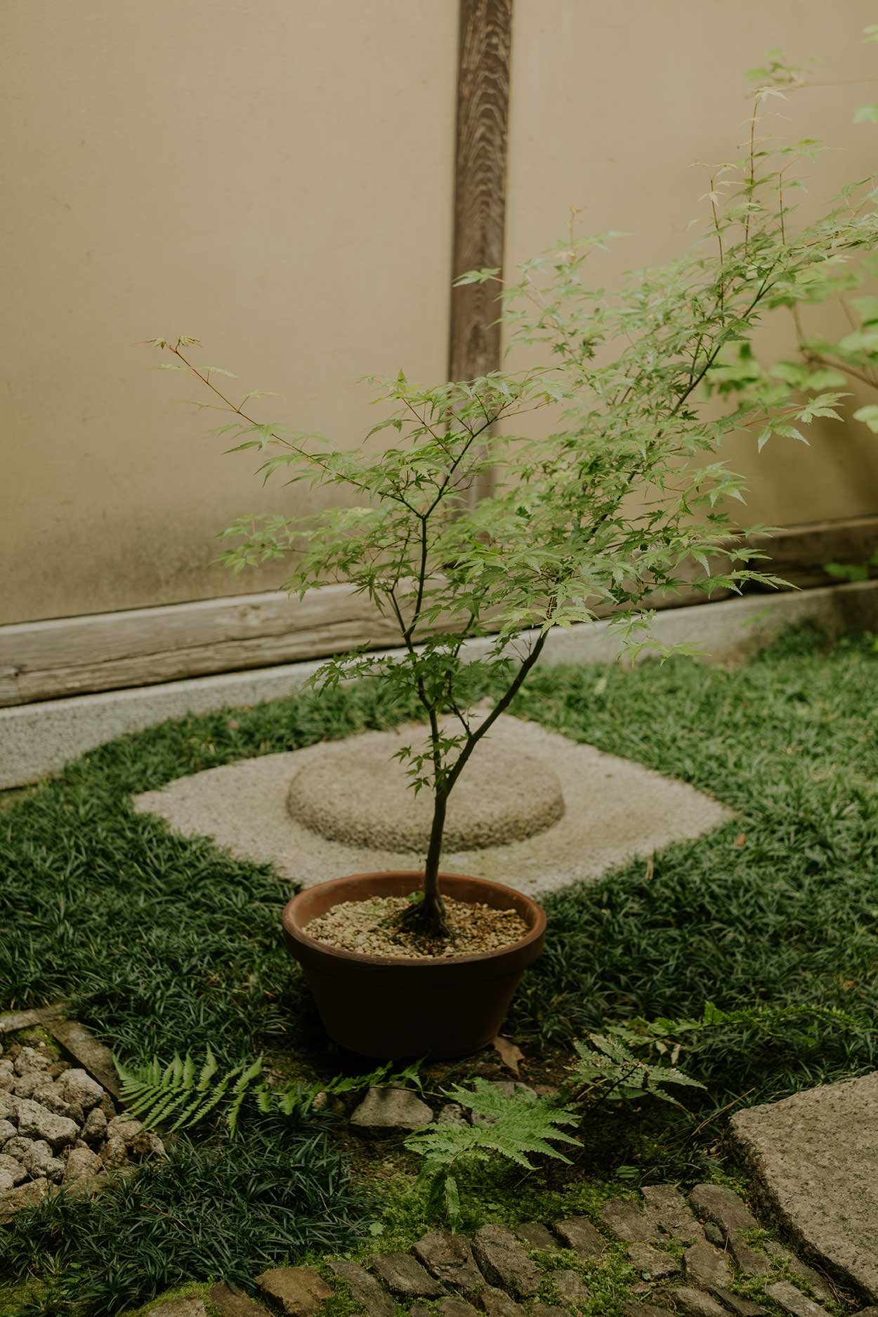 Machiya_37.jpg