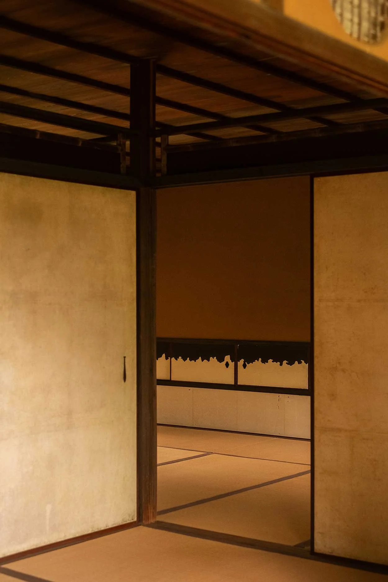 katsura20.jpg
