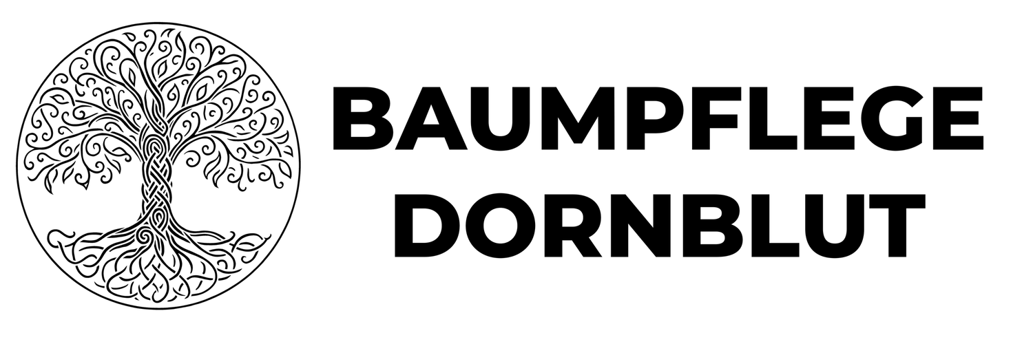 Baumpflege Dornblut 