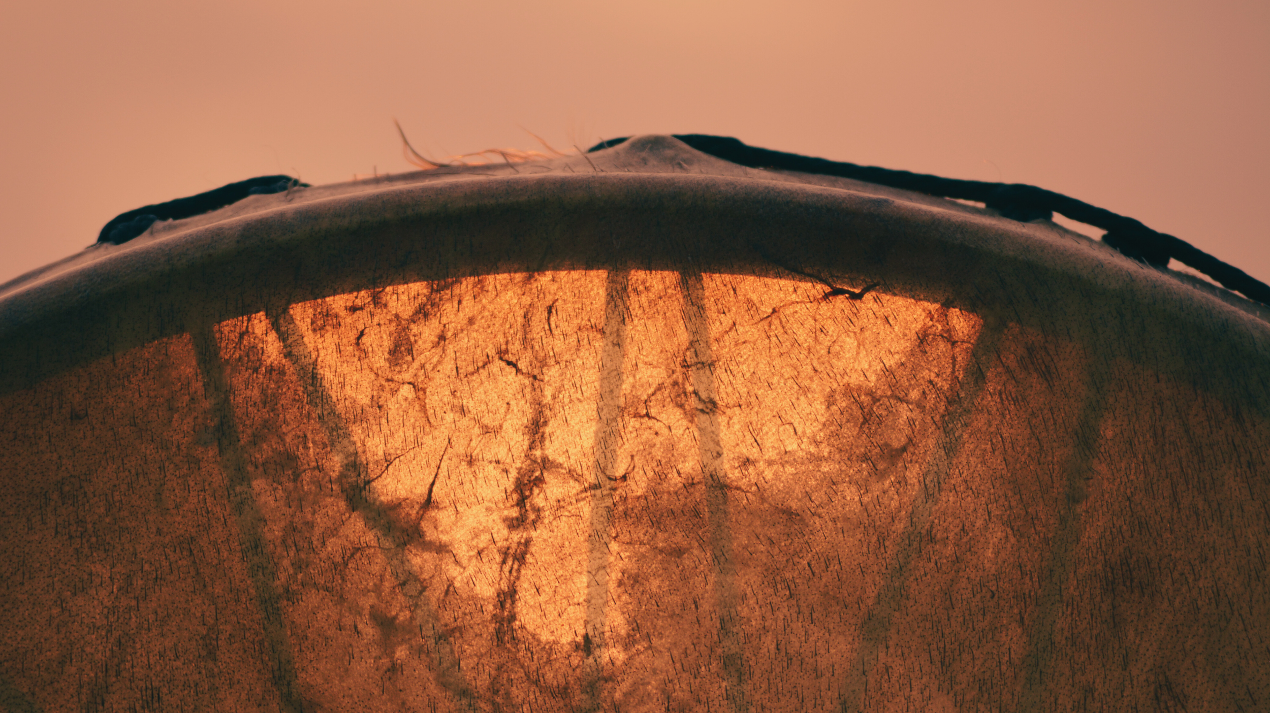 Kopie von Kopie von Unbenannt.png