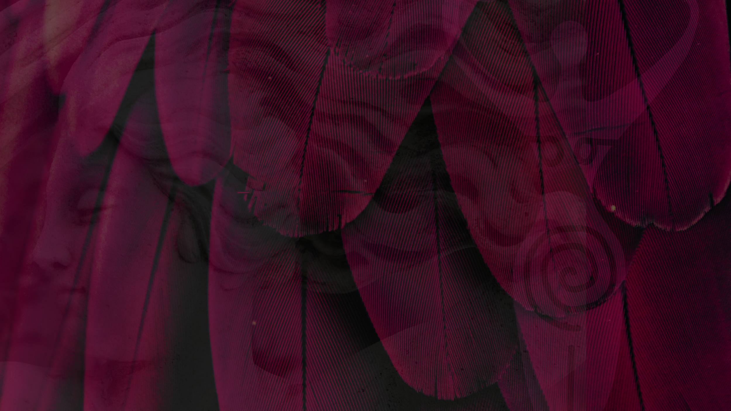 Kopie von Kopie von Kopie von Unbenannt.png