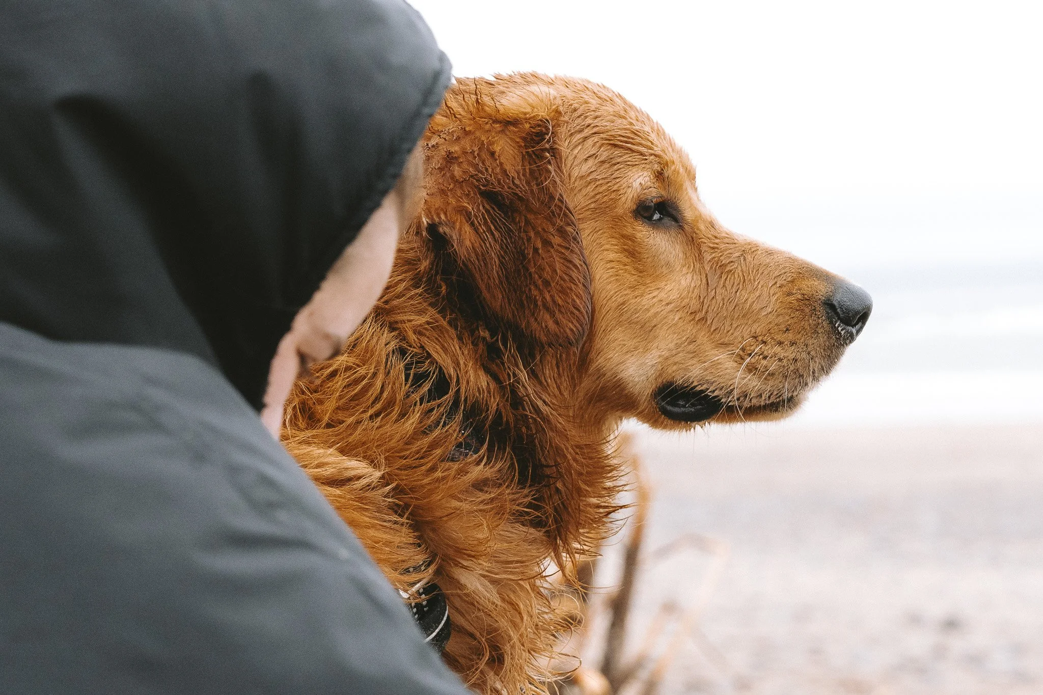 Personal Project - Buddy-12.jpg