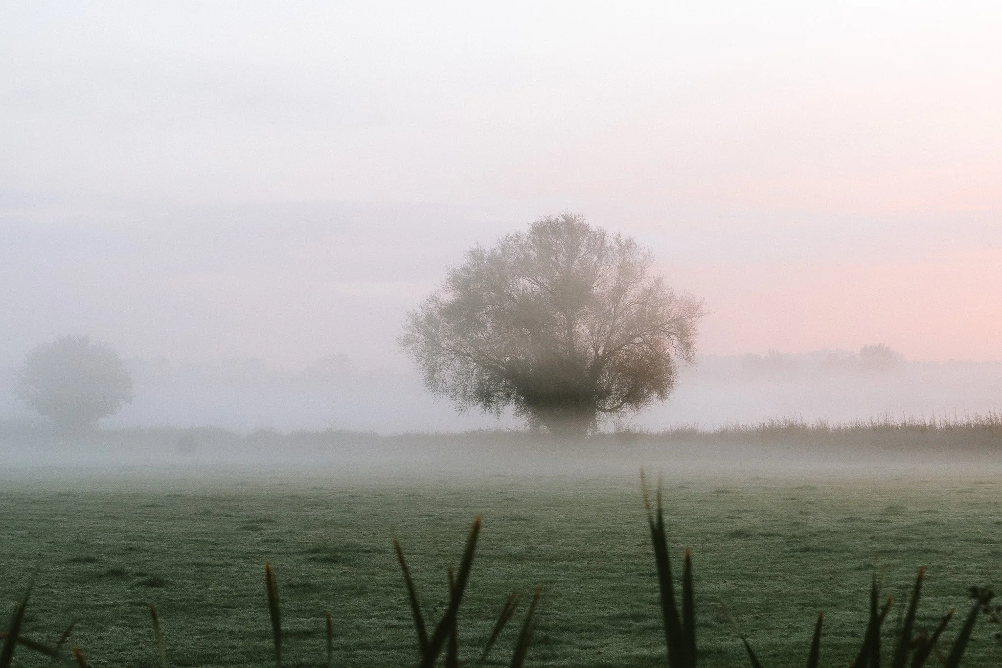 Salt Box Trail 05102024-32.jpg