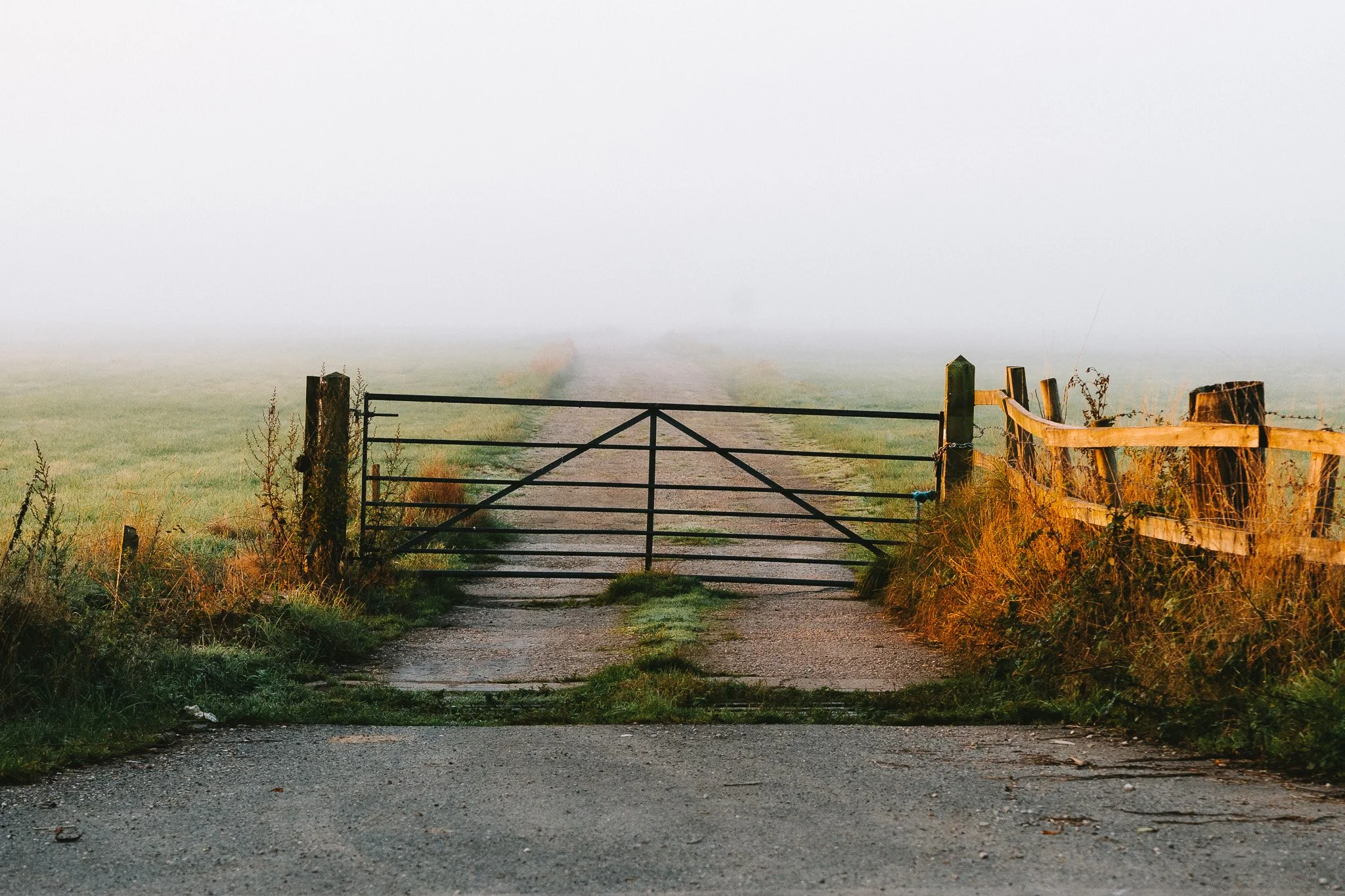 Salt Box Trail 05102024-06.jpg