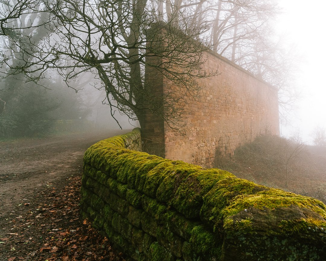 Belper Forest - Photo Walk-2.jpg