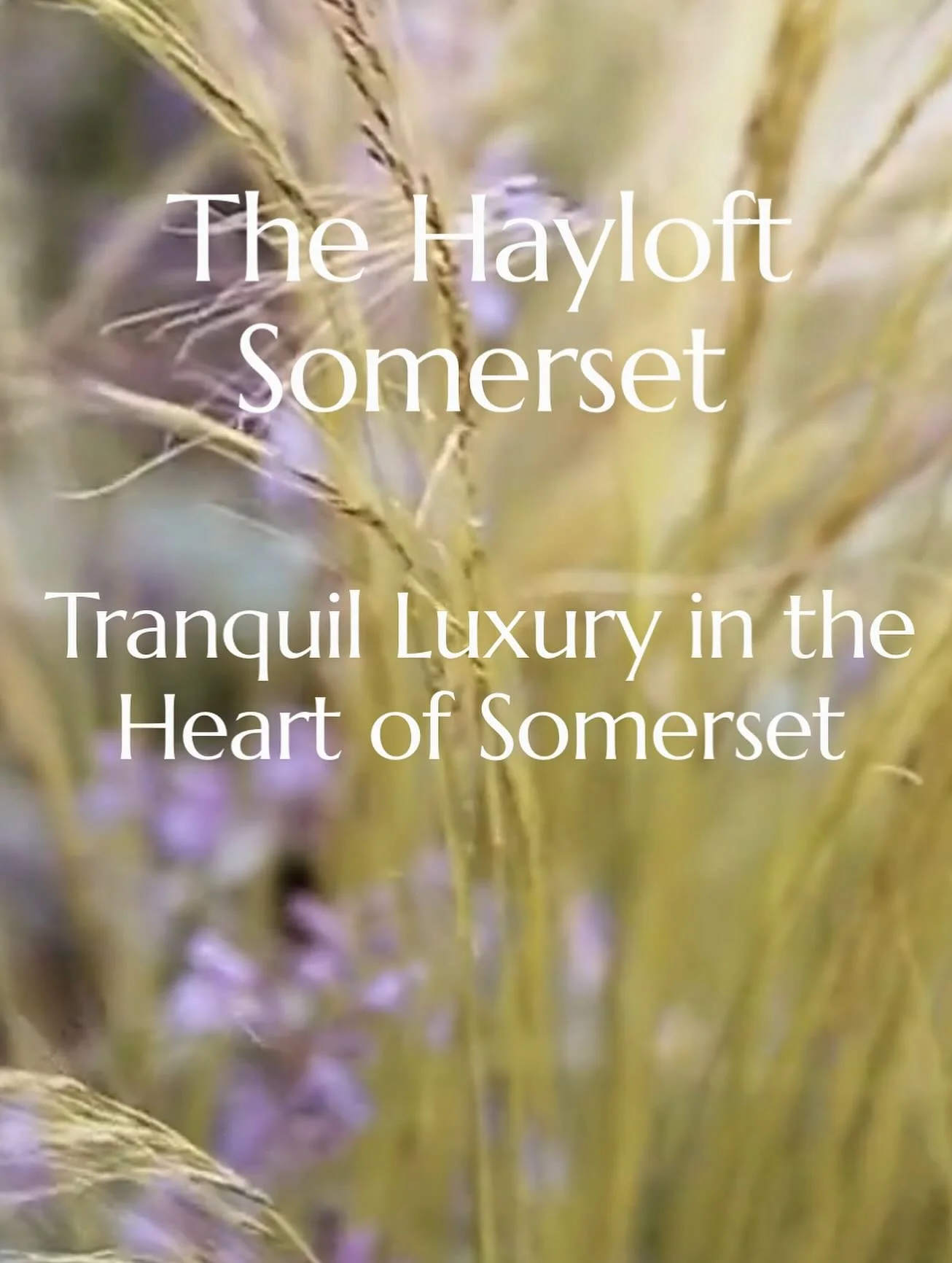 Our beautiful new website is up and running and gorgeously designed by the very brilliant @stephenjamesbell @wearefakery #thehayloftsomerset #hottub #coldplunge #sauna #wellnesssuite #airbnb #relax #thehayloft_somerset #privatespa#gloriousplacestosta