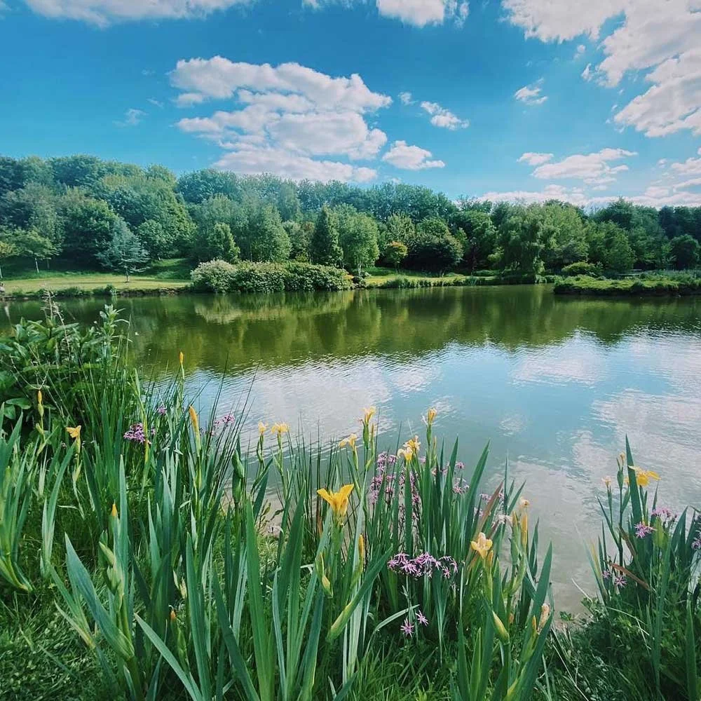 A peaceful lake surrounded by lush green trees under a blue sky with scattered white clouds, with yellow and purple flowers growing along the shoreline in the foreground.