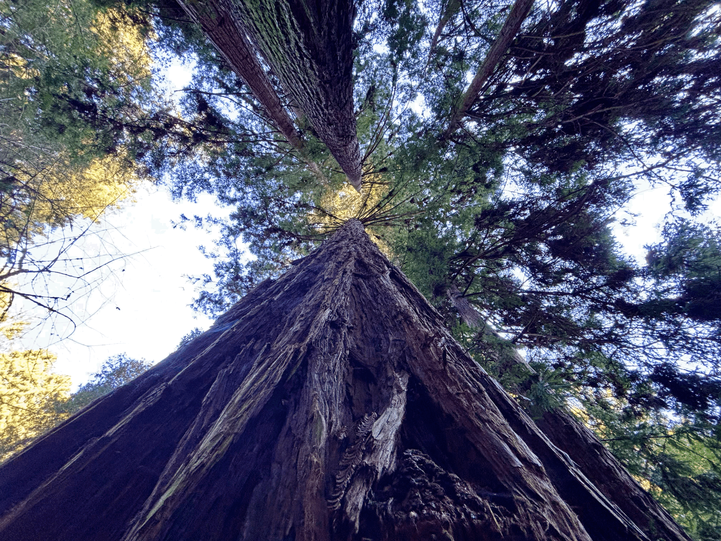 How do I manage my energy during times of stress?