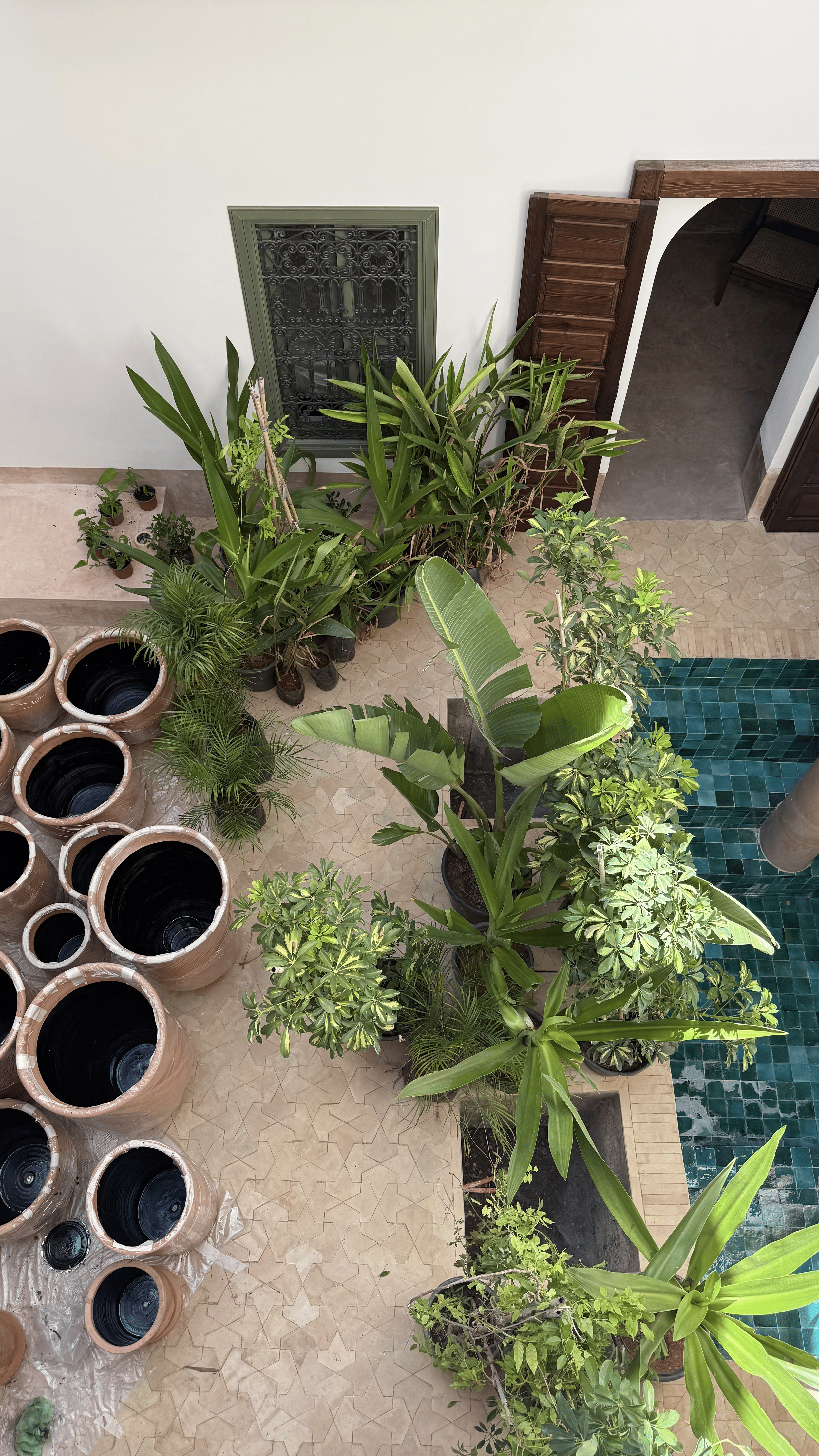 06/2026: Plant delivery part I.