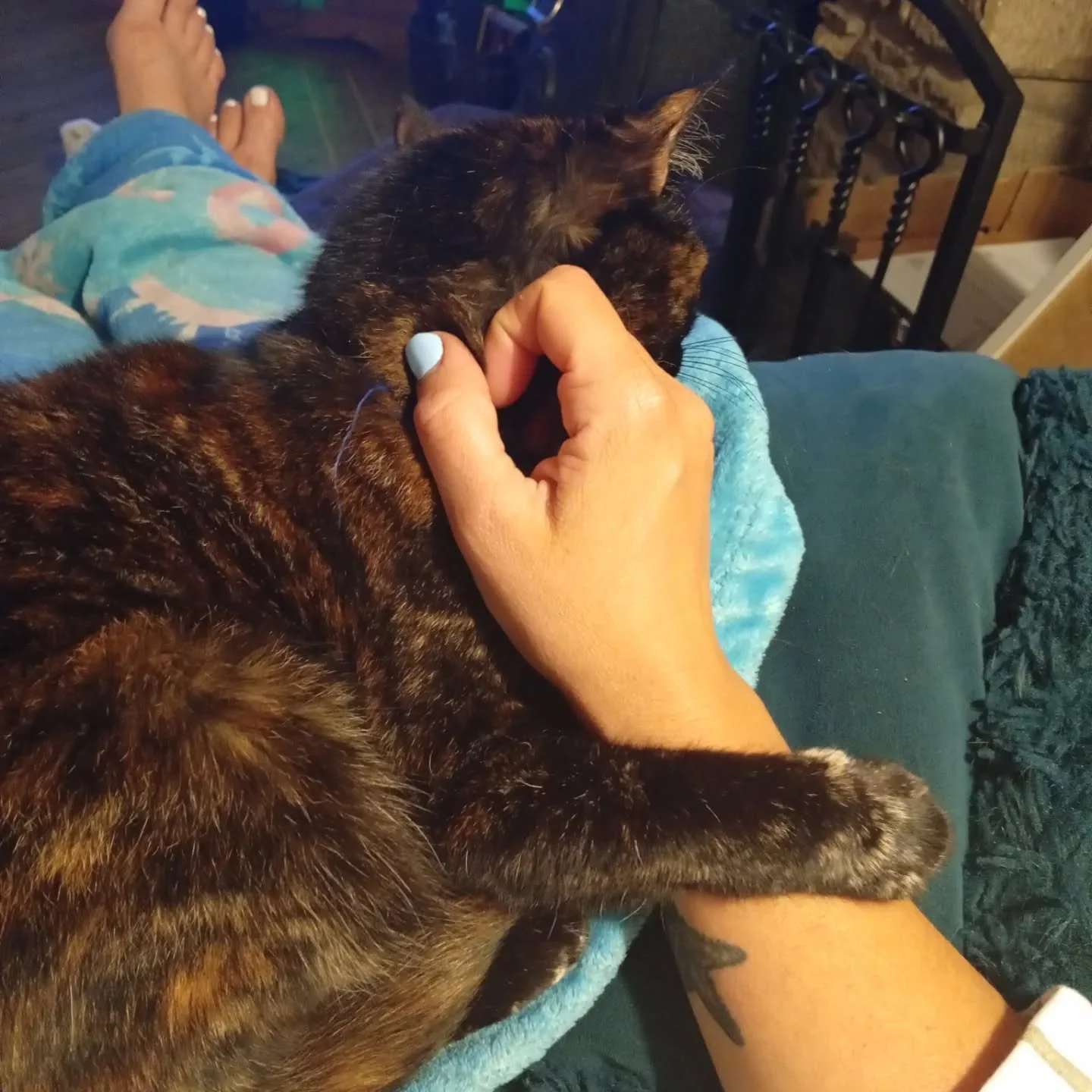 Evenings are for cuddles...arm in arm ❤️