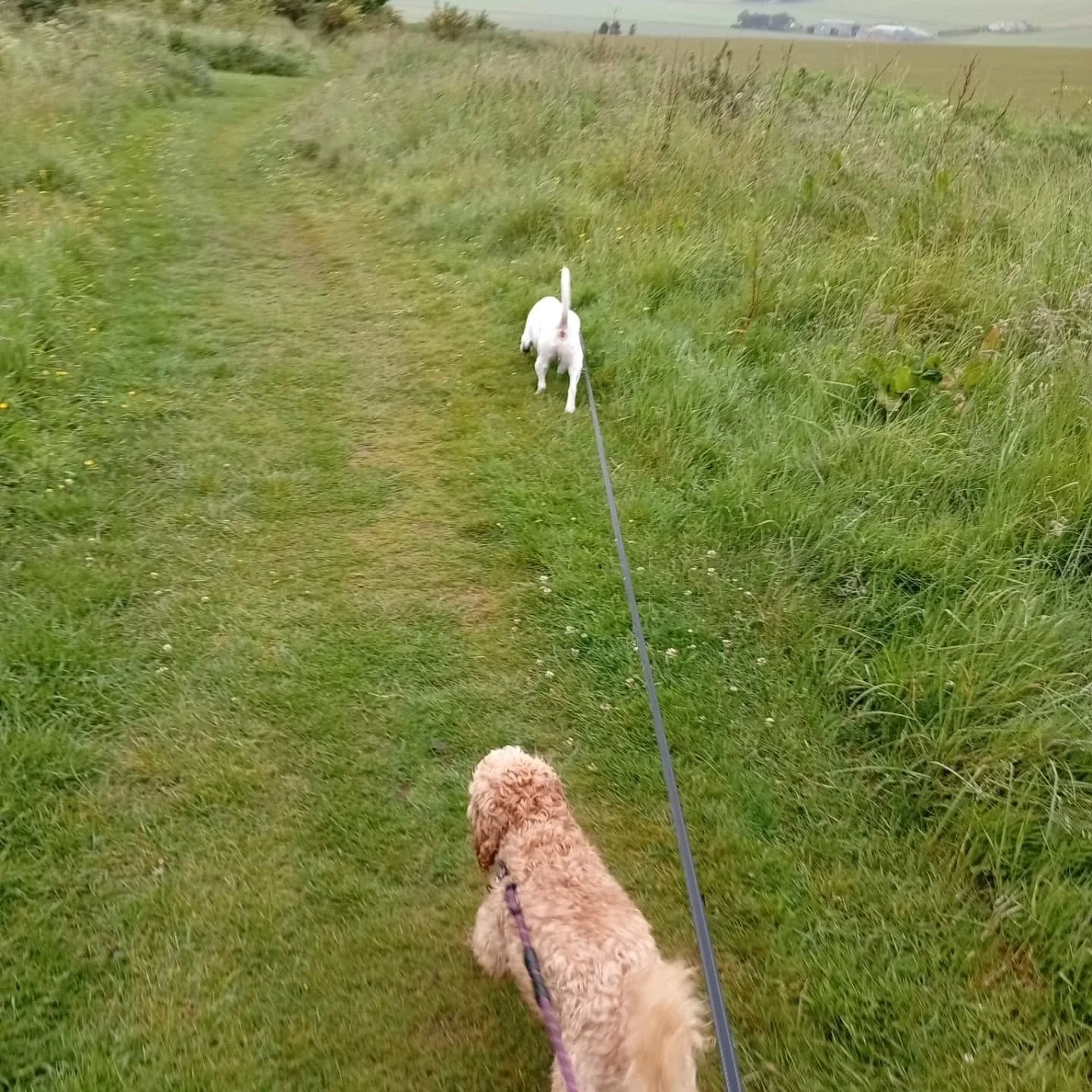 Rain or shine, we're walking the trails!