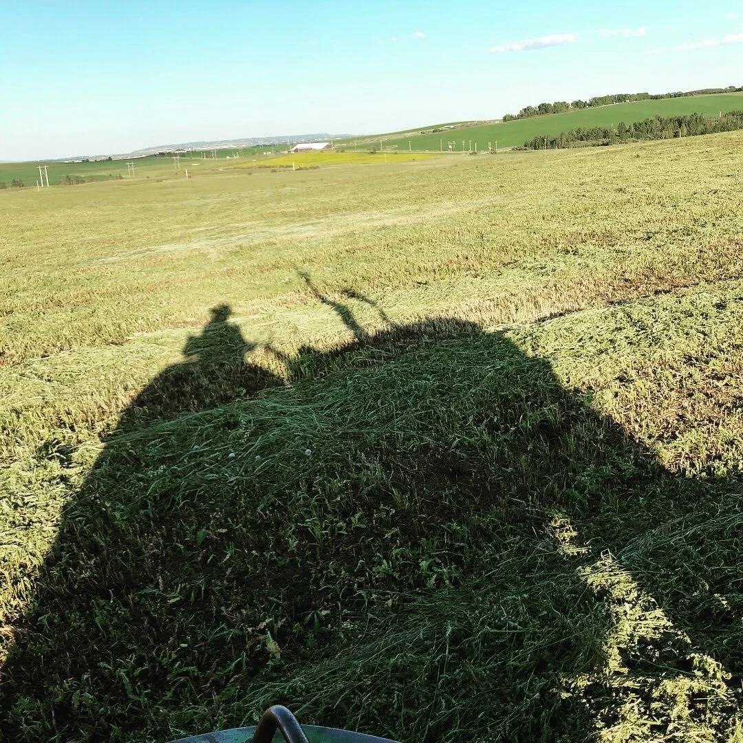 I will always be proud to be part of my ranching family in Jumping Pound. My role is not always in the day to day, but I pitch in when I can and it renews my appreciation and respect for the not only where my food comes from but for the people who pr