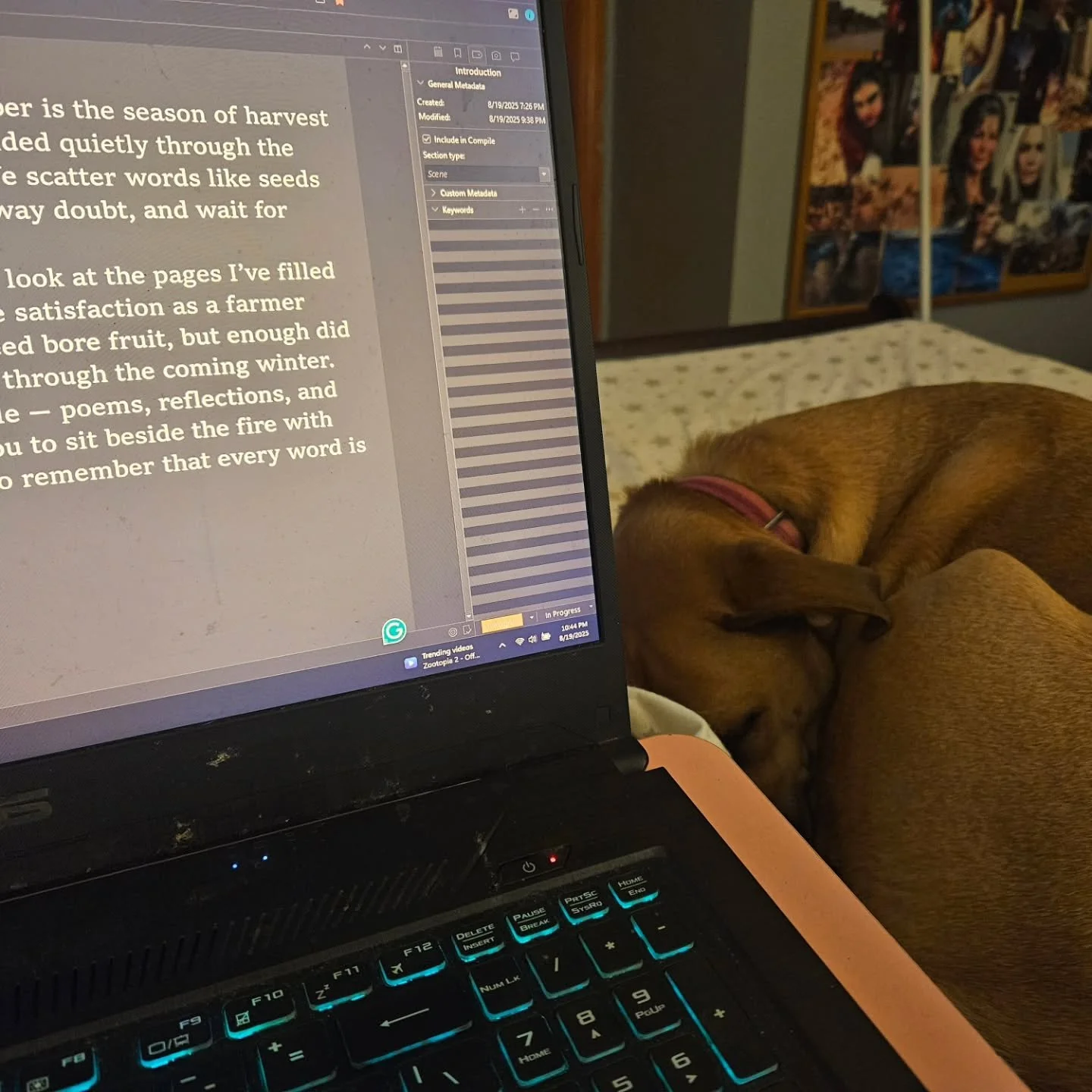 Tonight I plant seeds for the future.