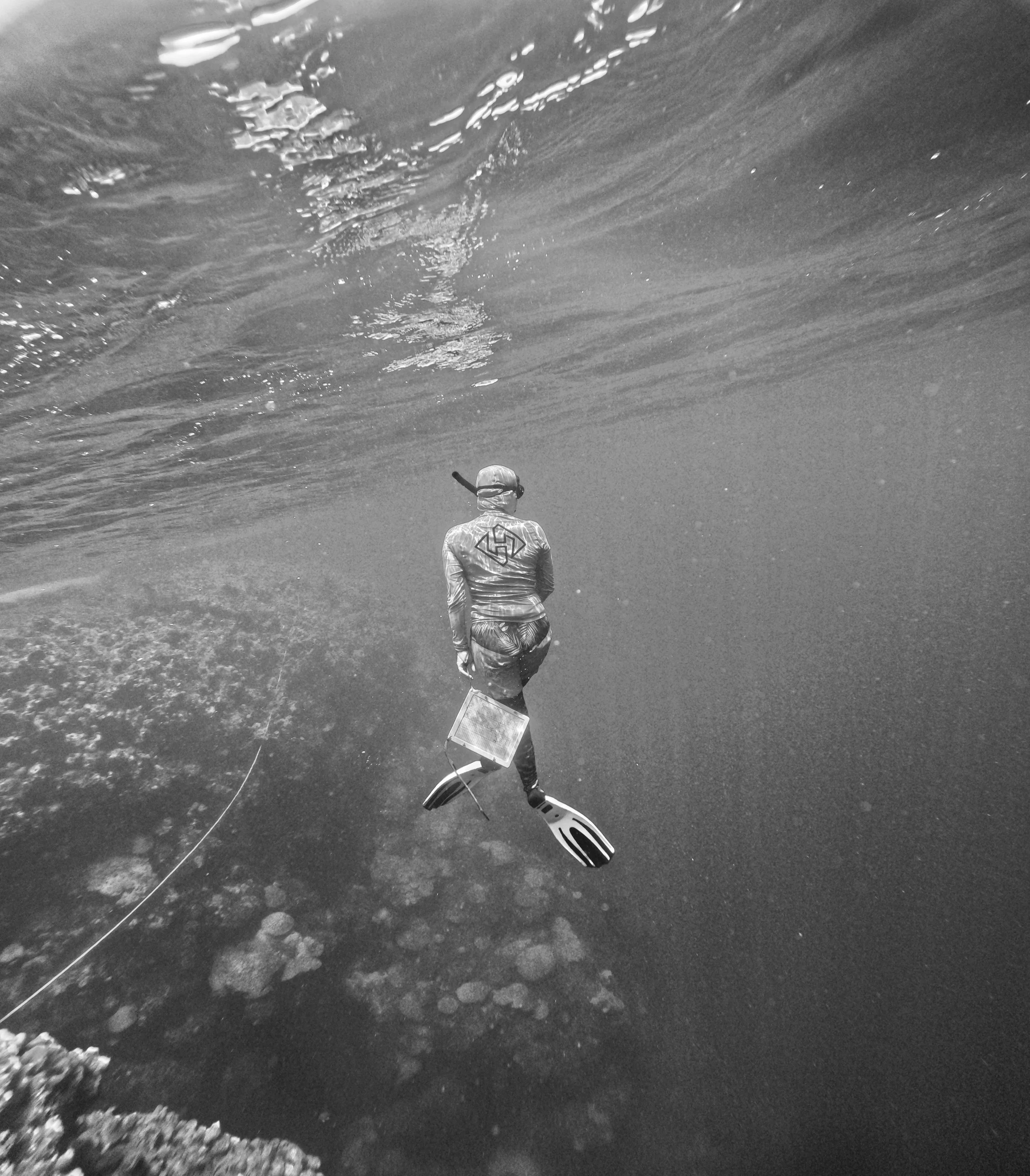 GOPR0119_20240607_credit- Jess Kaelblein.jpg