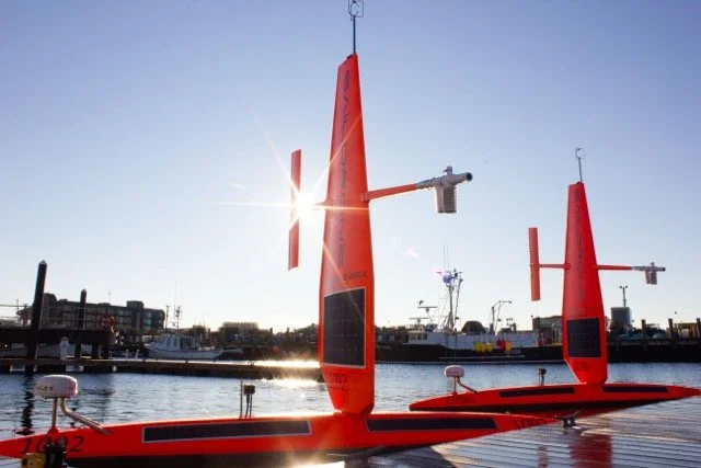 _MG_5399_1 Medium.jpeg