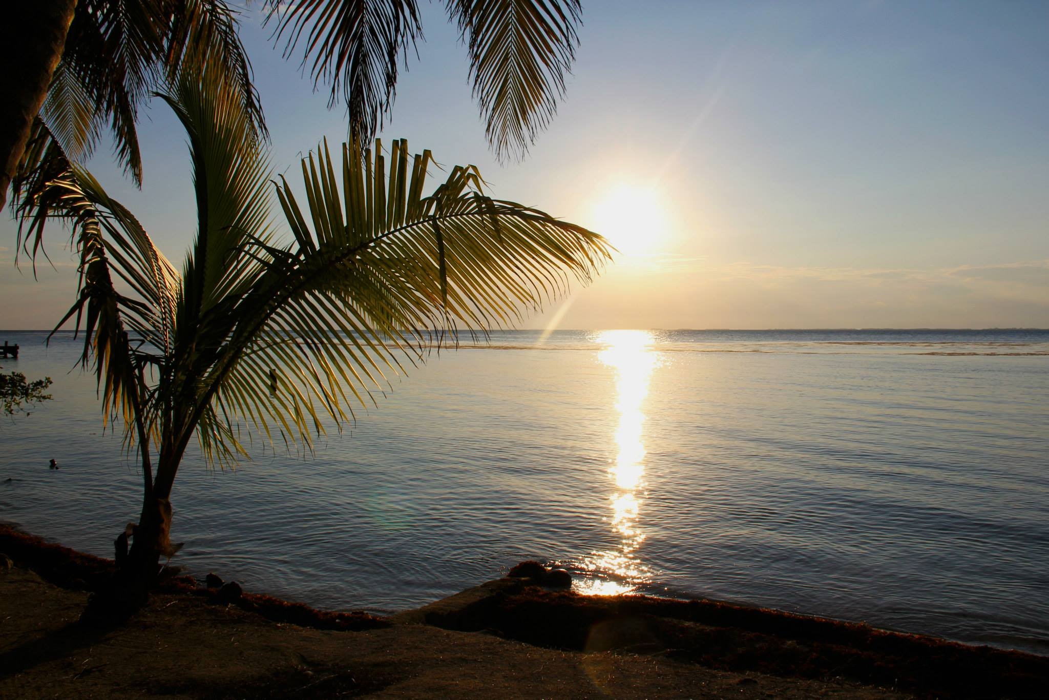 10928899_1060389037321205_1988962057154714178_o copy.jpg