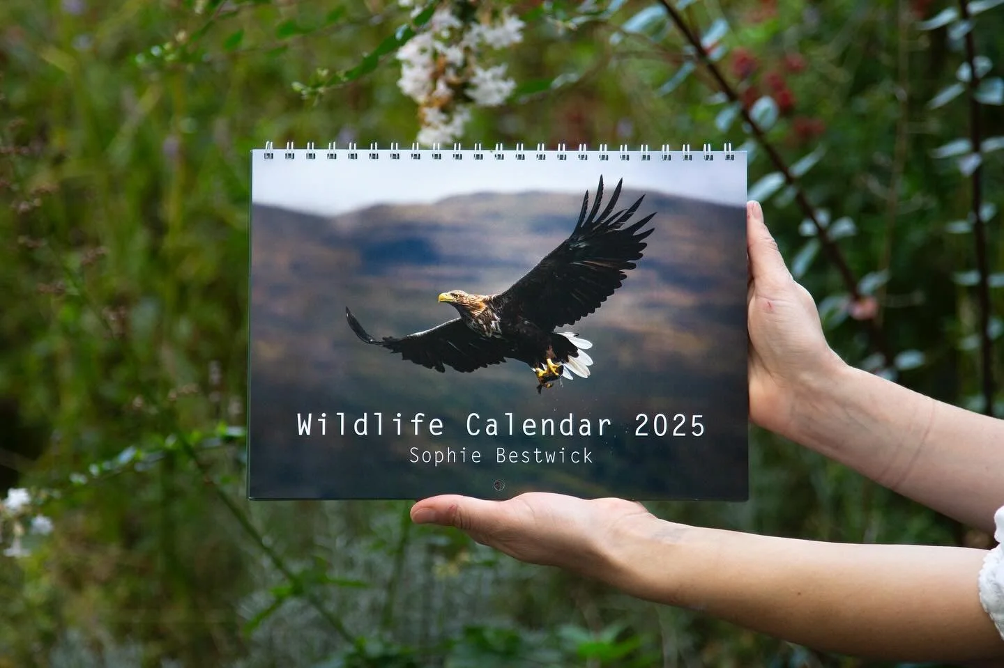 🌿2025 Wildlife Calendars! 🌿

Here are my long awaited and highly anticipated 2025 wildlife calendars 🕺🏻 I only have 20 left so please get in touch if you&rsquo;re interested in having one! 

&pound;12 +pp

🗓️🌿🗓️🌿

Big up Sean @greyhoundprint 