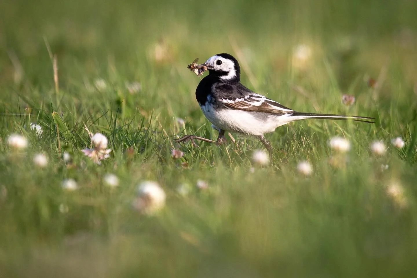 I&rsquo;m currently in the process of updating/completely changing my website to offer workshops etc etc, and since I was enjoying going through my archive of images I thought it was a good time to get back on here and share some of my fave old image