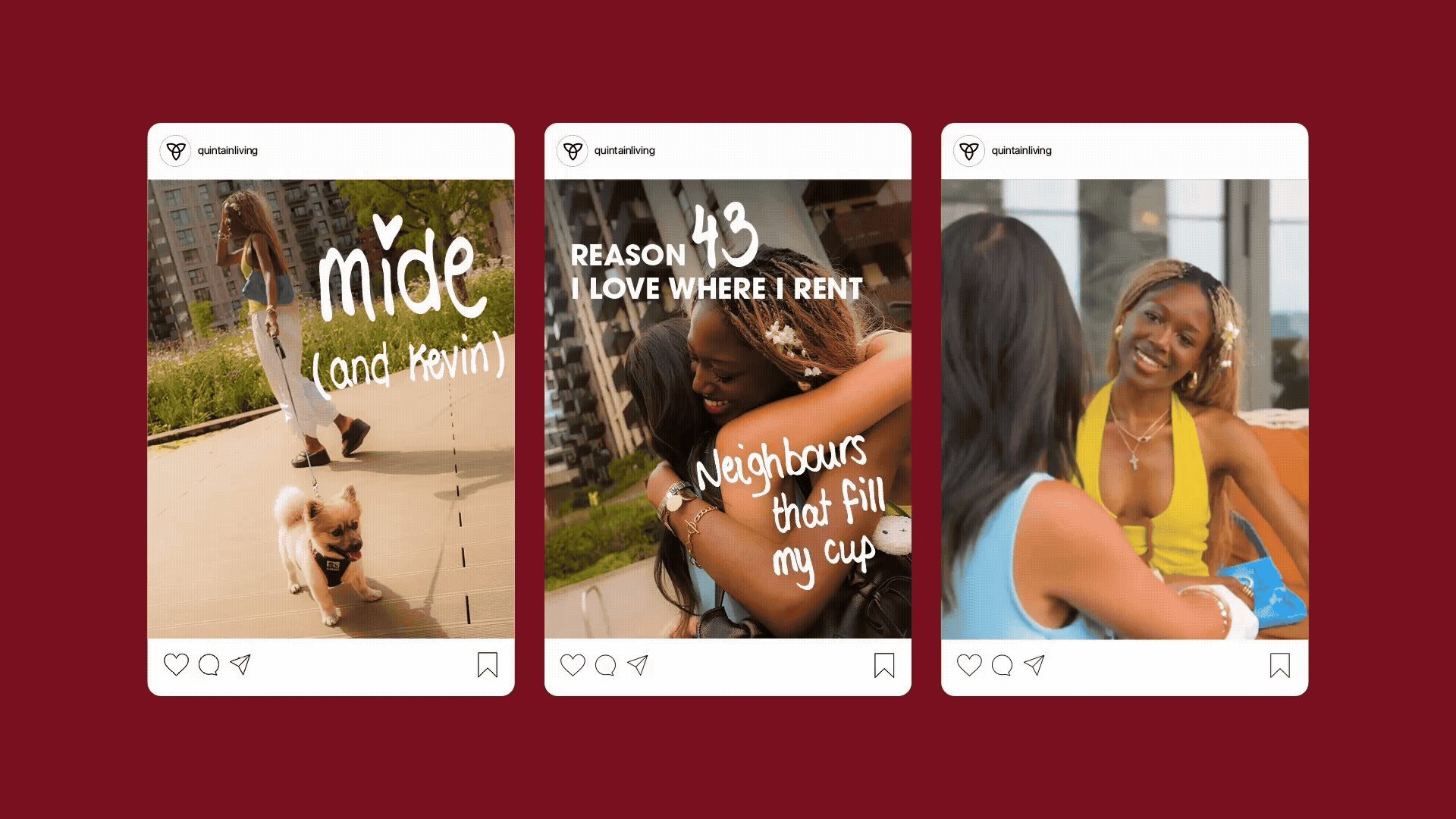 Quintain insta gif.gif