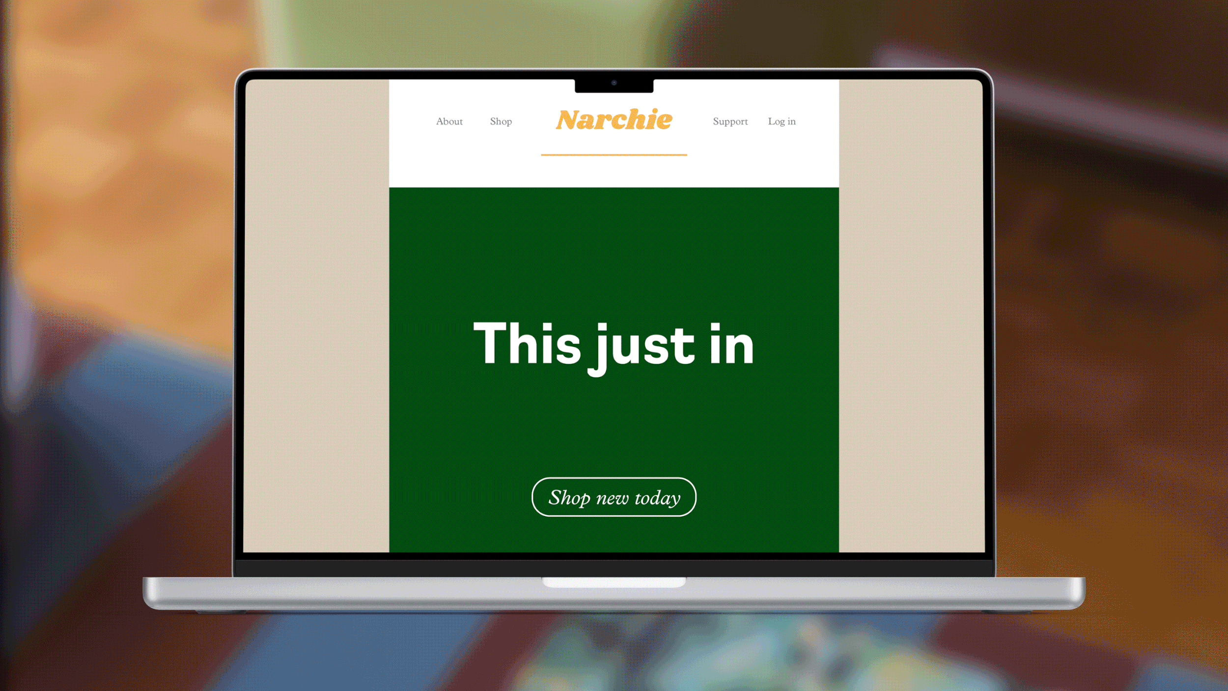 narchie-newsletter-mock.gif