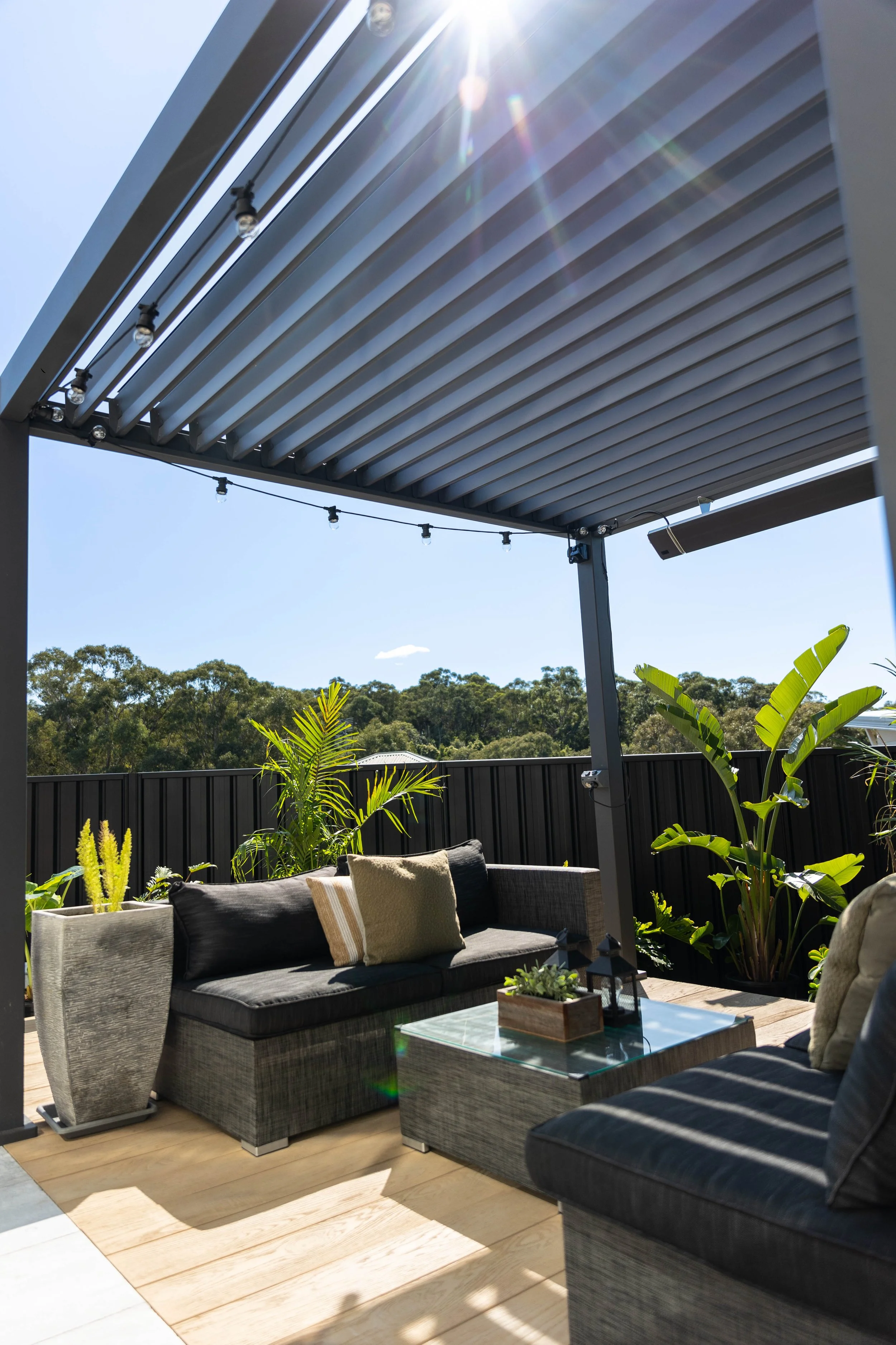 south sea figtree-12.jpg