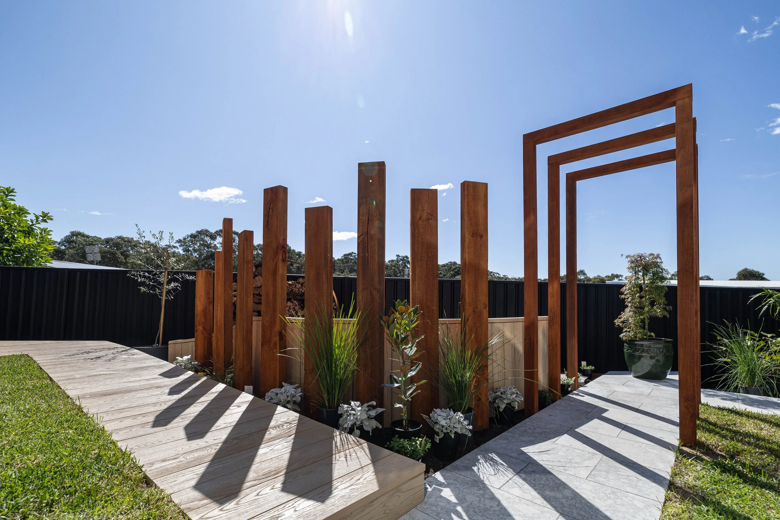 south sea figtree-7.jpg