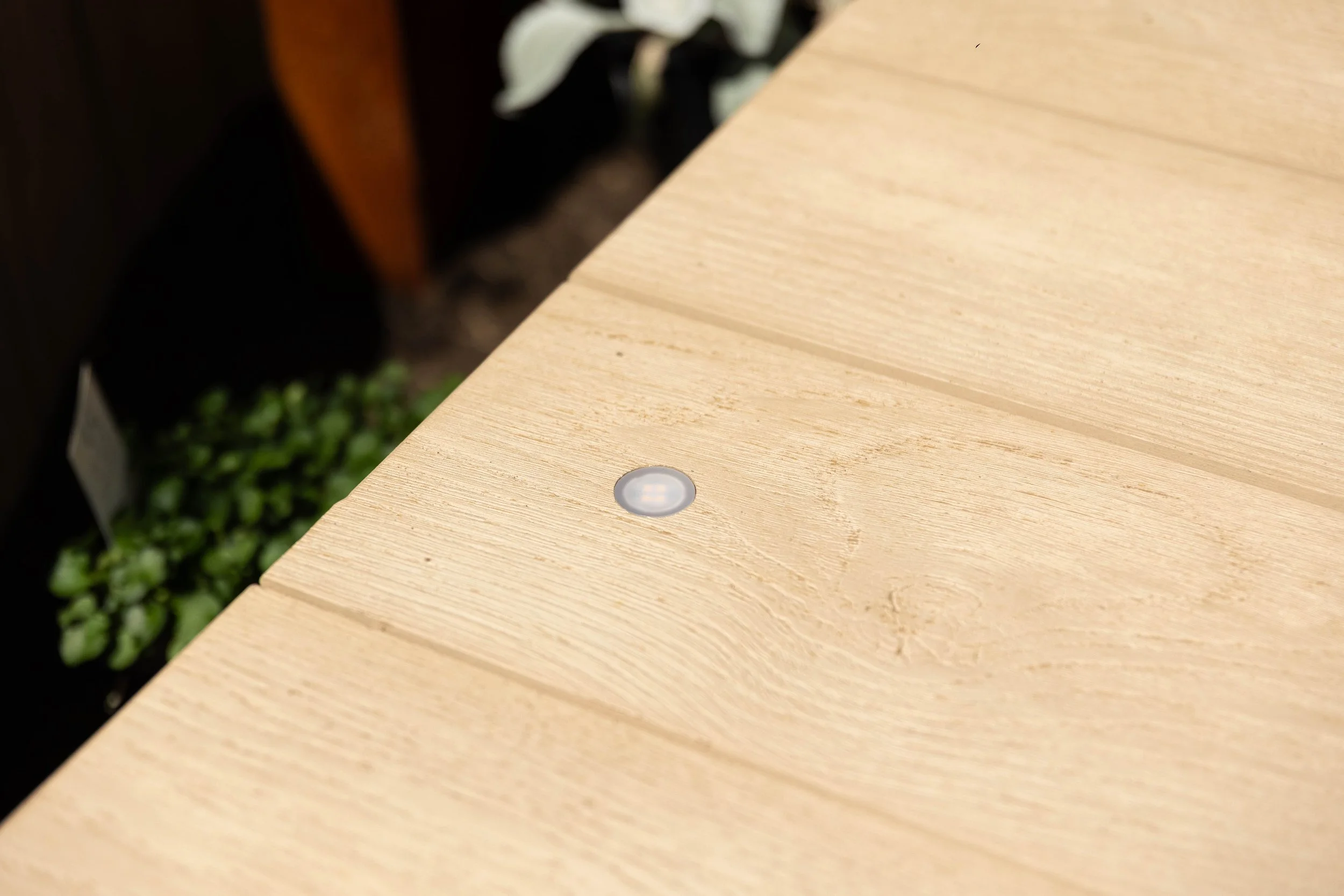 south sea figtree-26.jpg