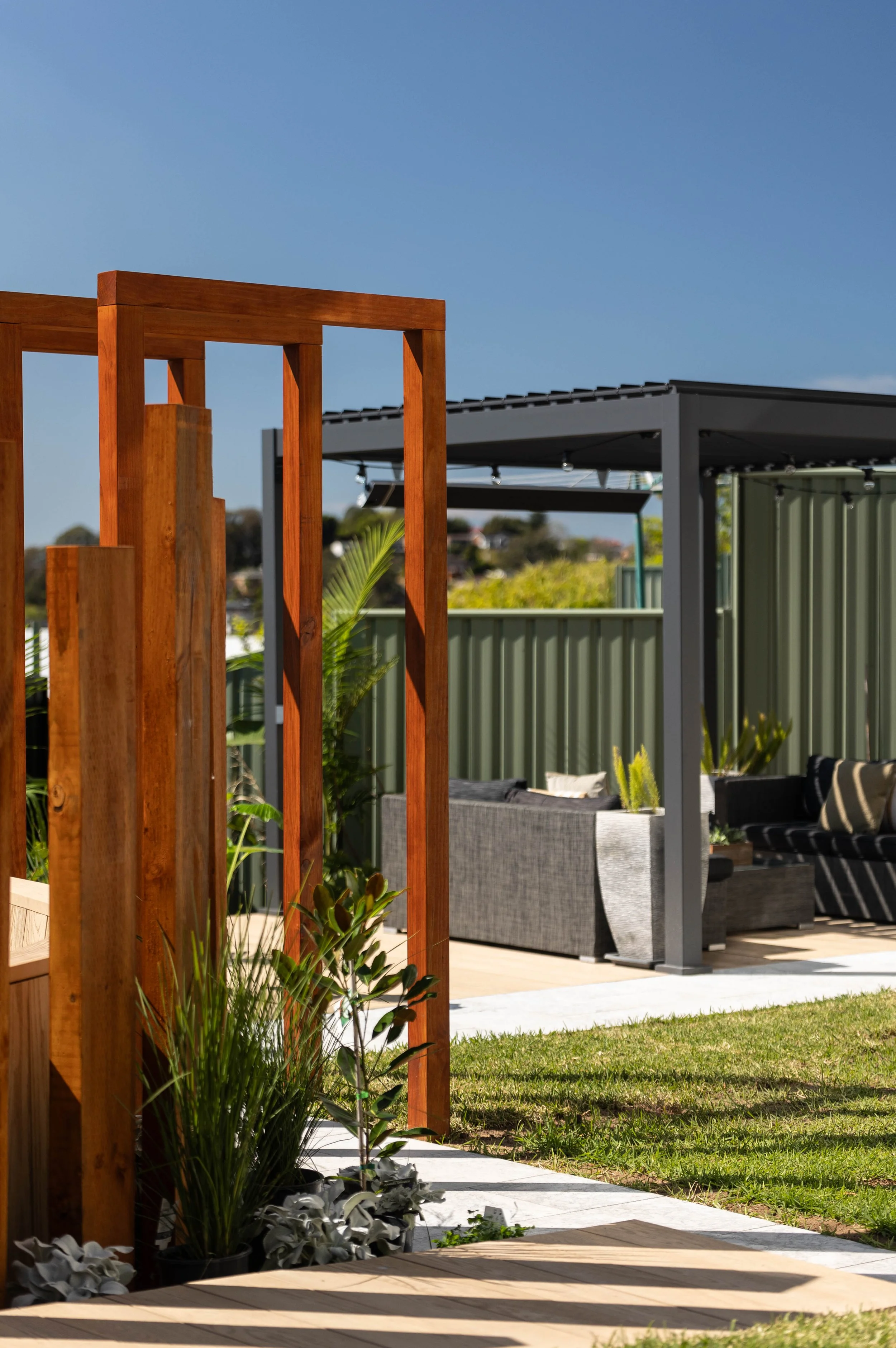 south sea figtree-13.jpg