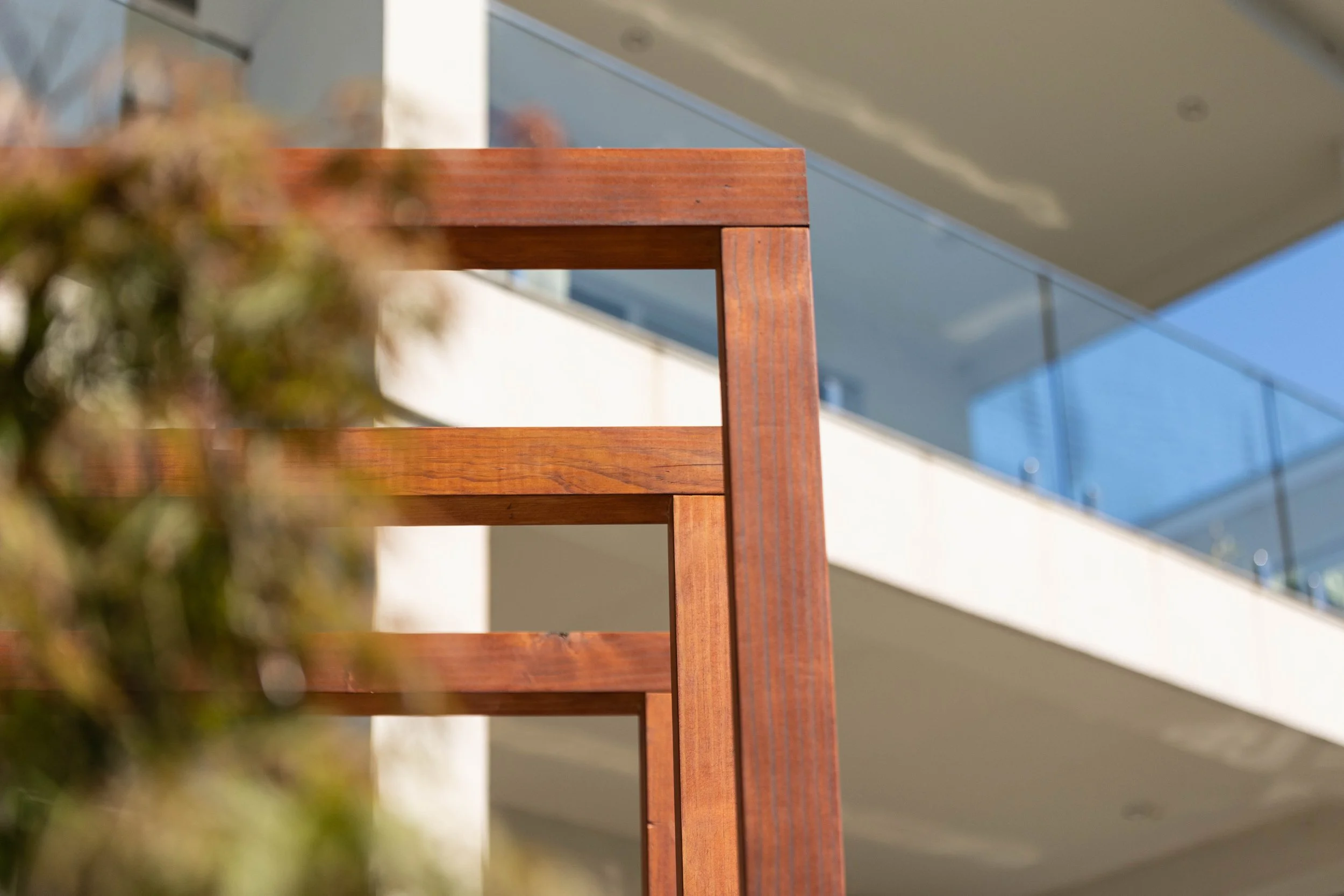 south sea figtree-19.jpg