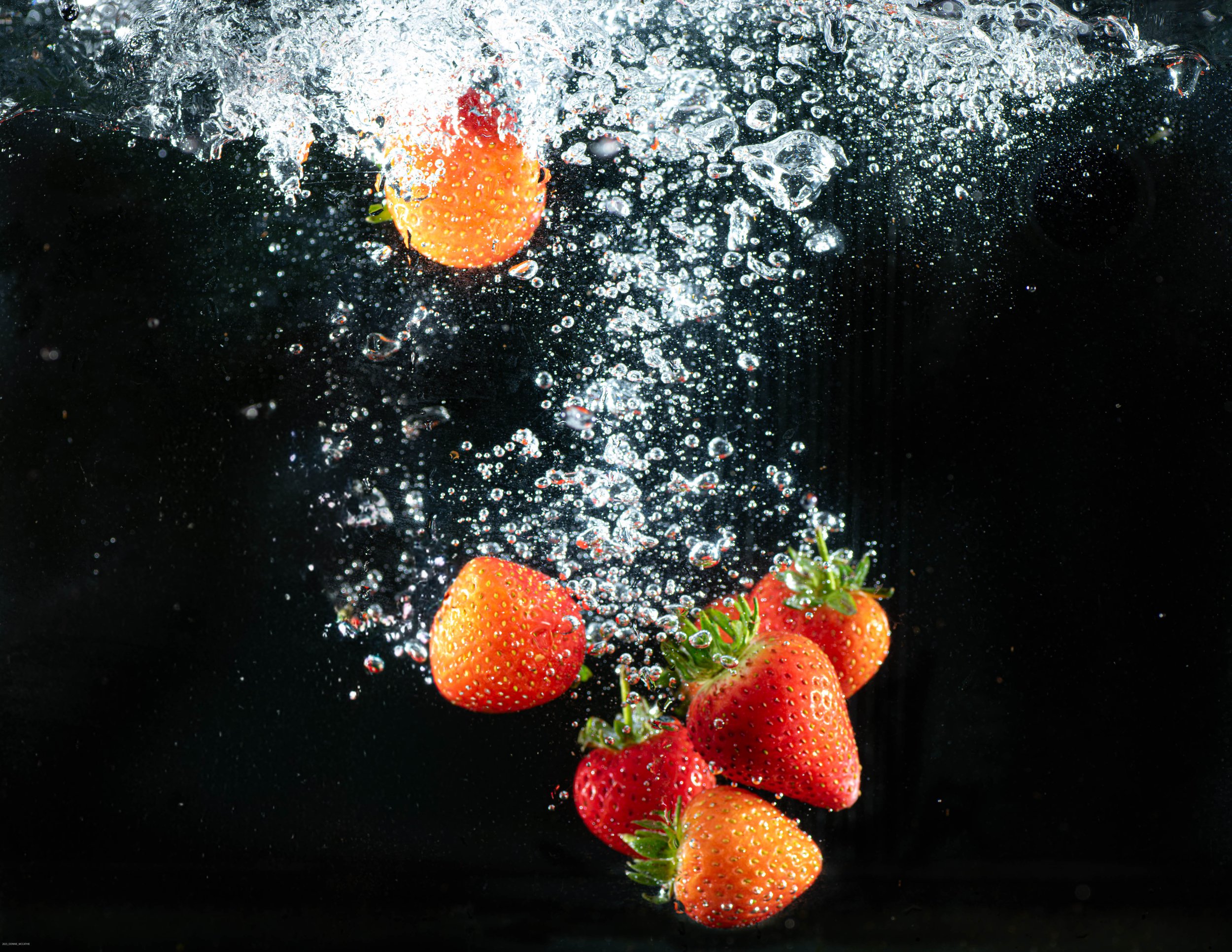 _DSC3724-1.jpg