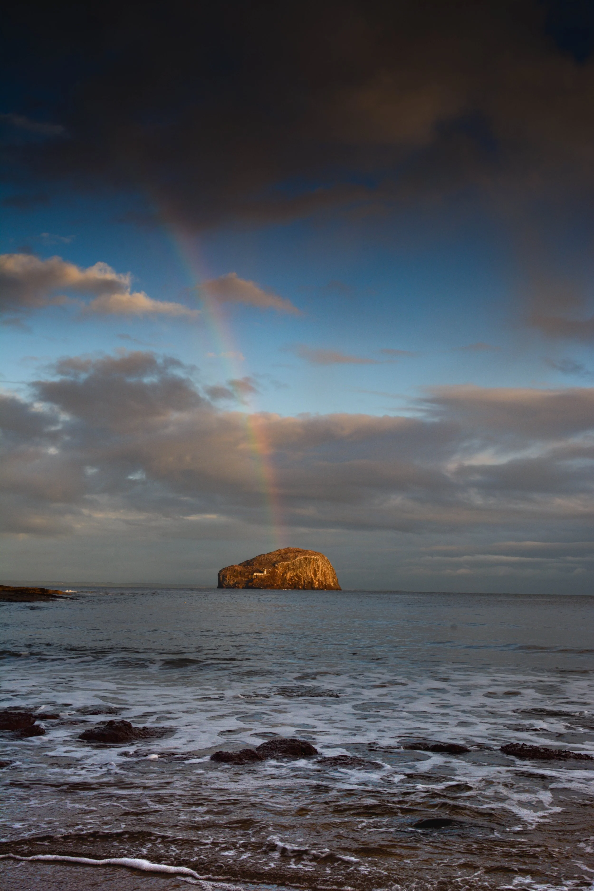 DSC_1336-1.jpg