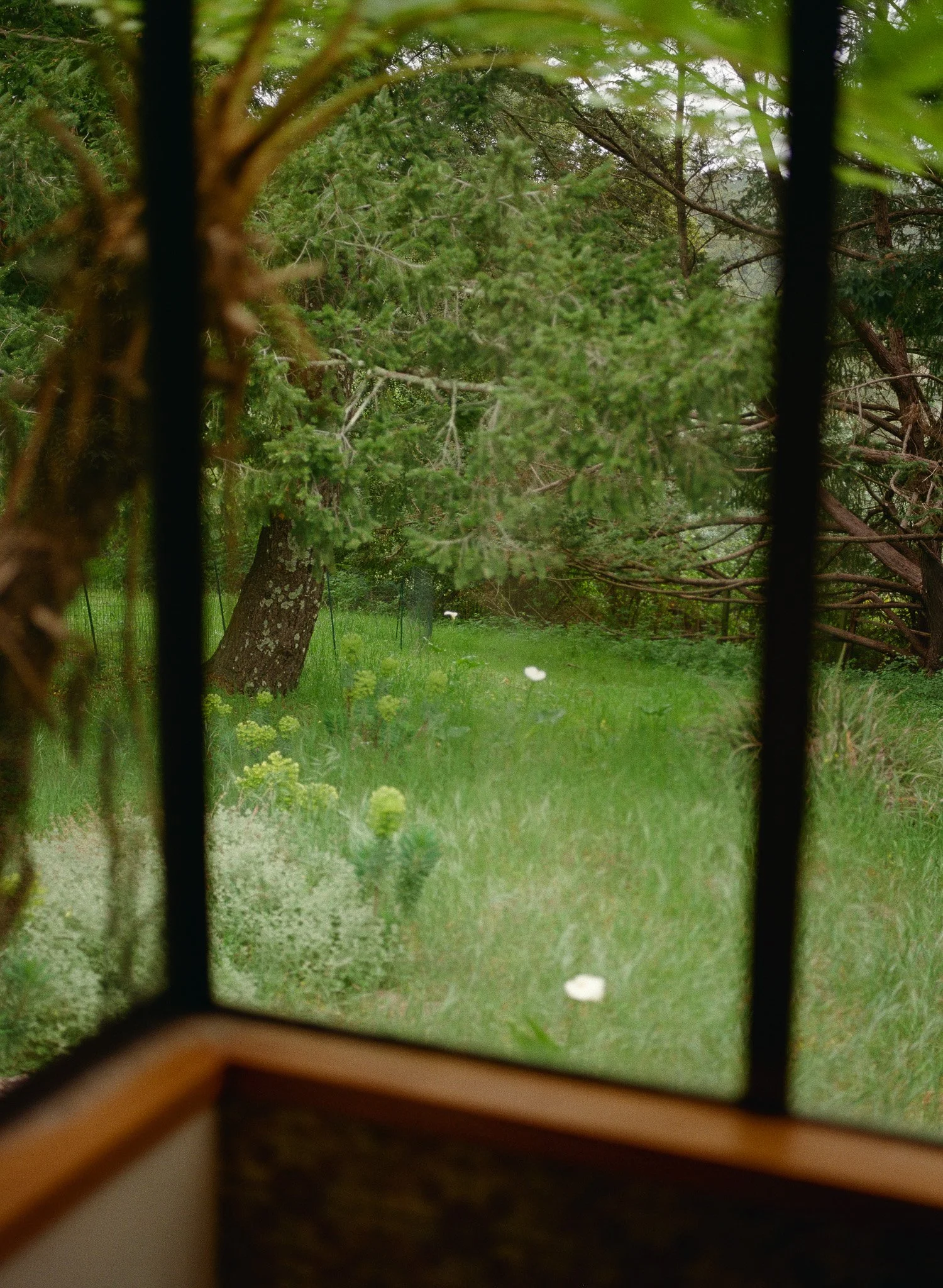 250417 Film Medium Format Sebastopol Retreat 31.jpg