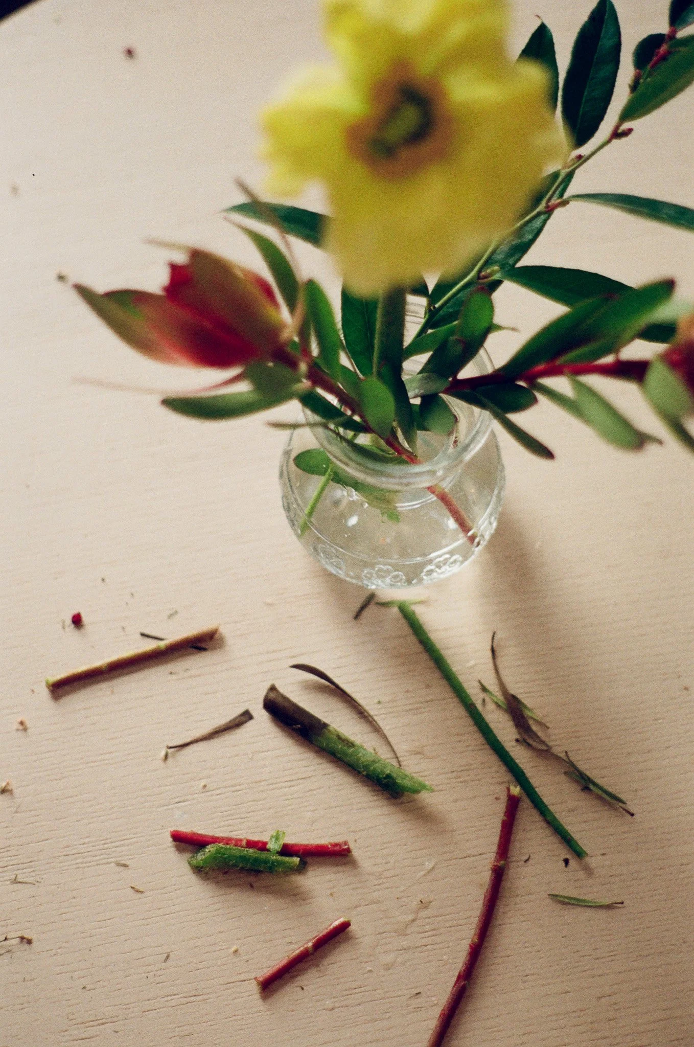 250215 Film Sofia Ellen Waterfront Orchids 25.jpg