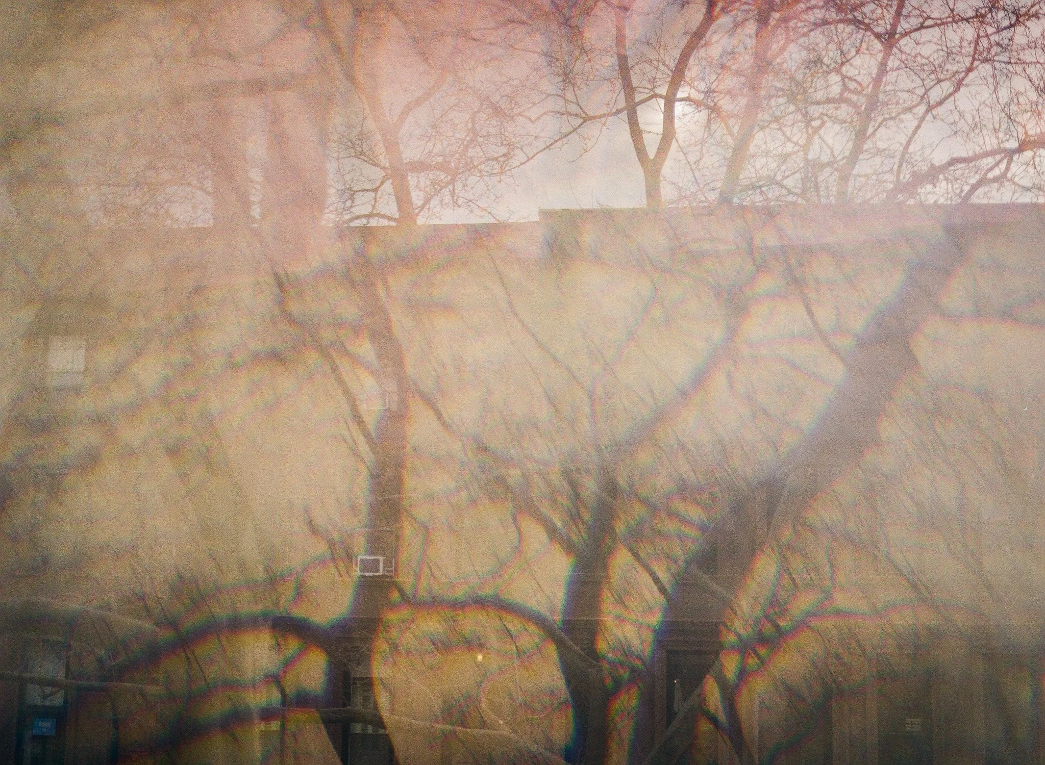 250410 Film Brooklyn Spring Medium Format 12.jpg