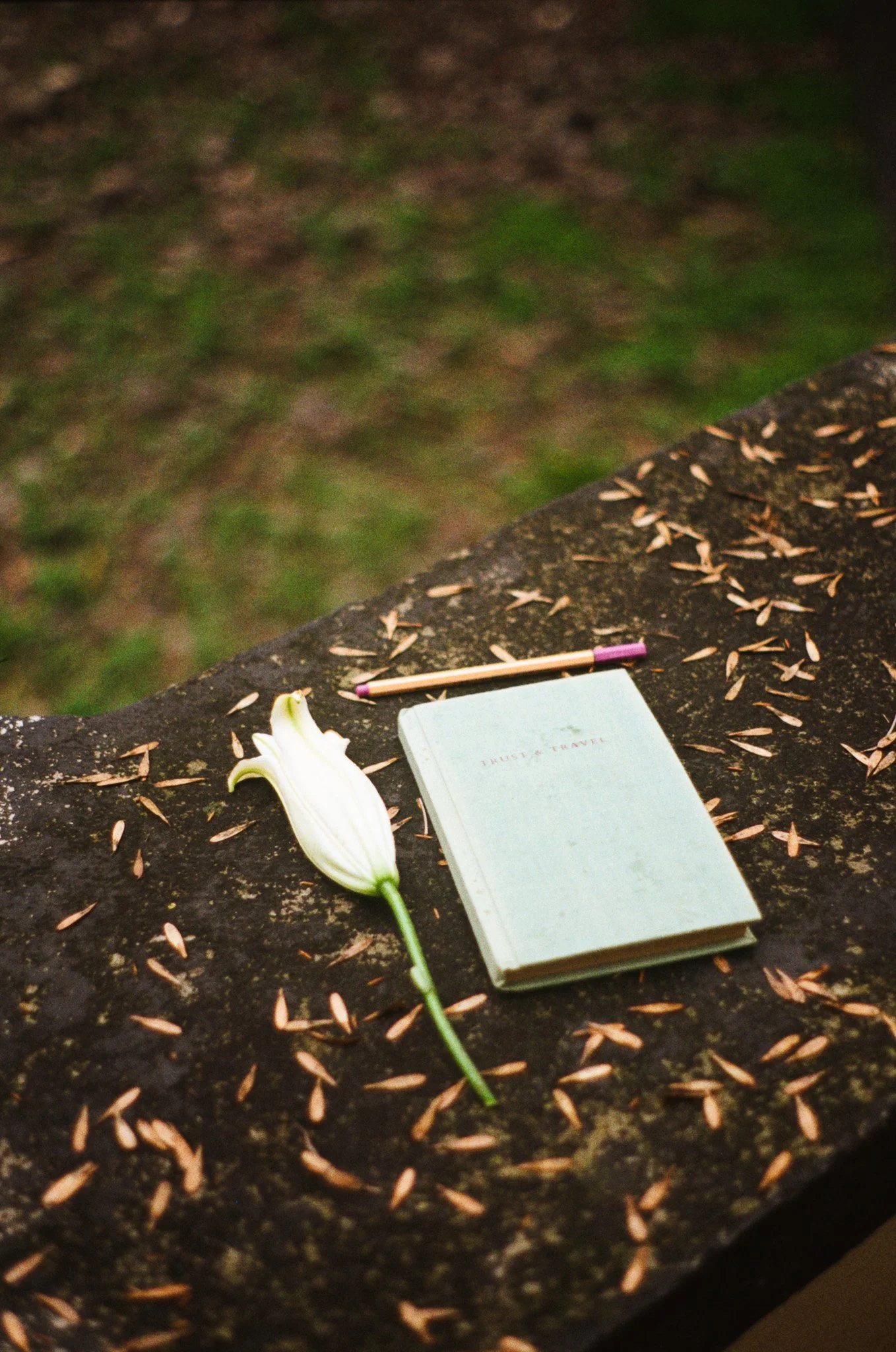 250615 Film Mexico City 40.jpg