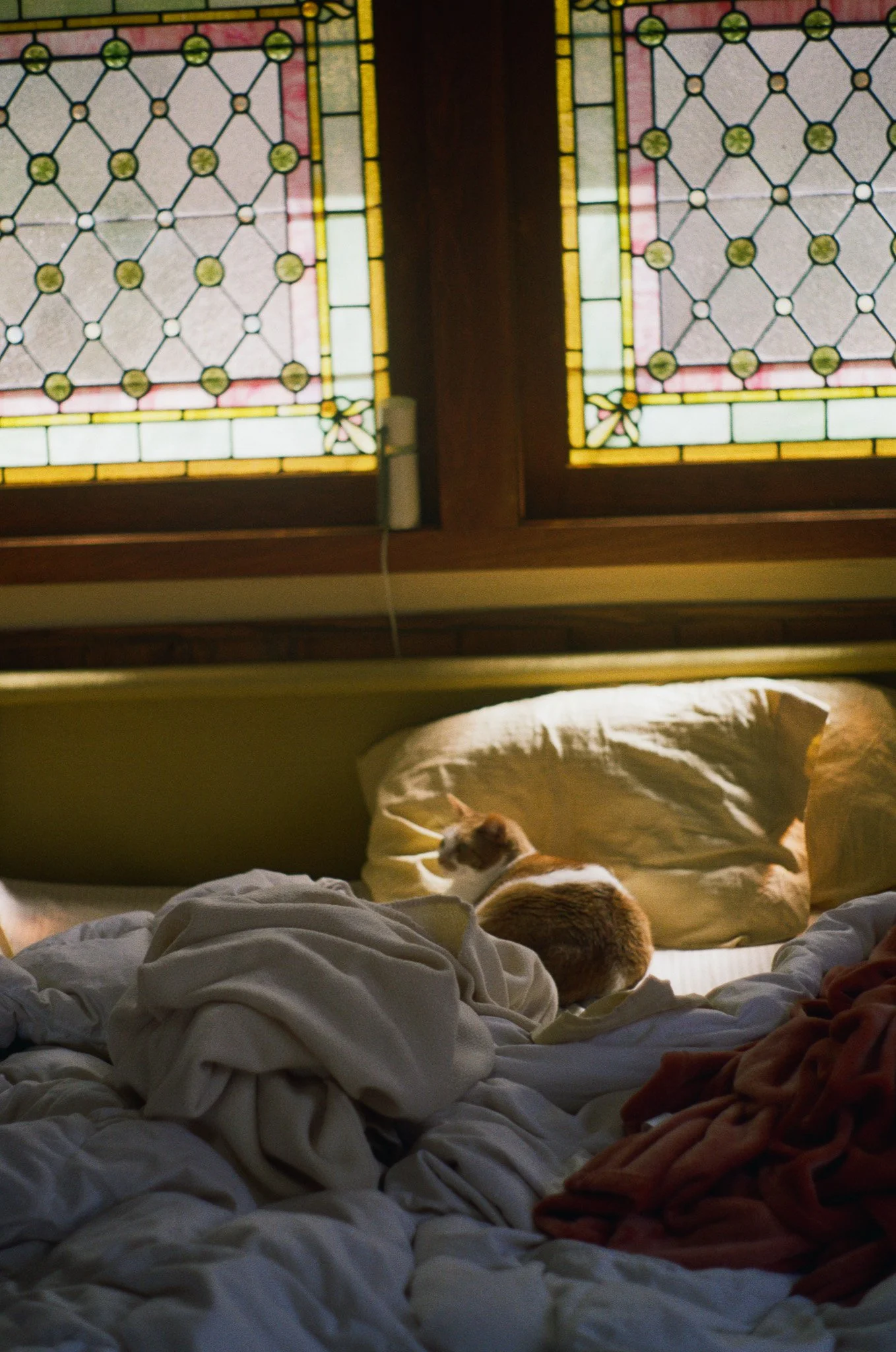 250402 Film Upstate NY Millie Kiki 5.jpg