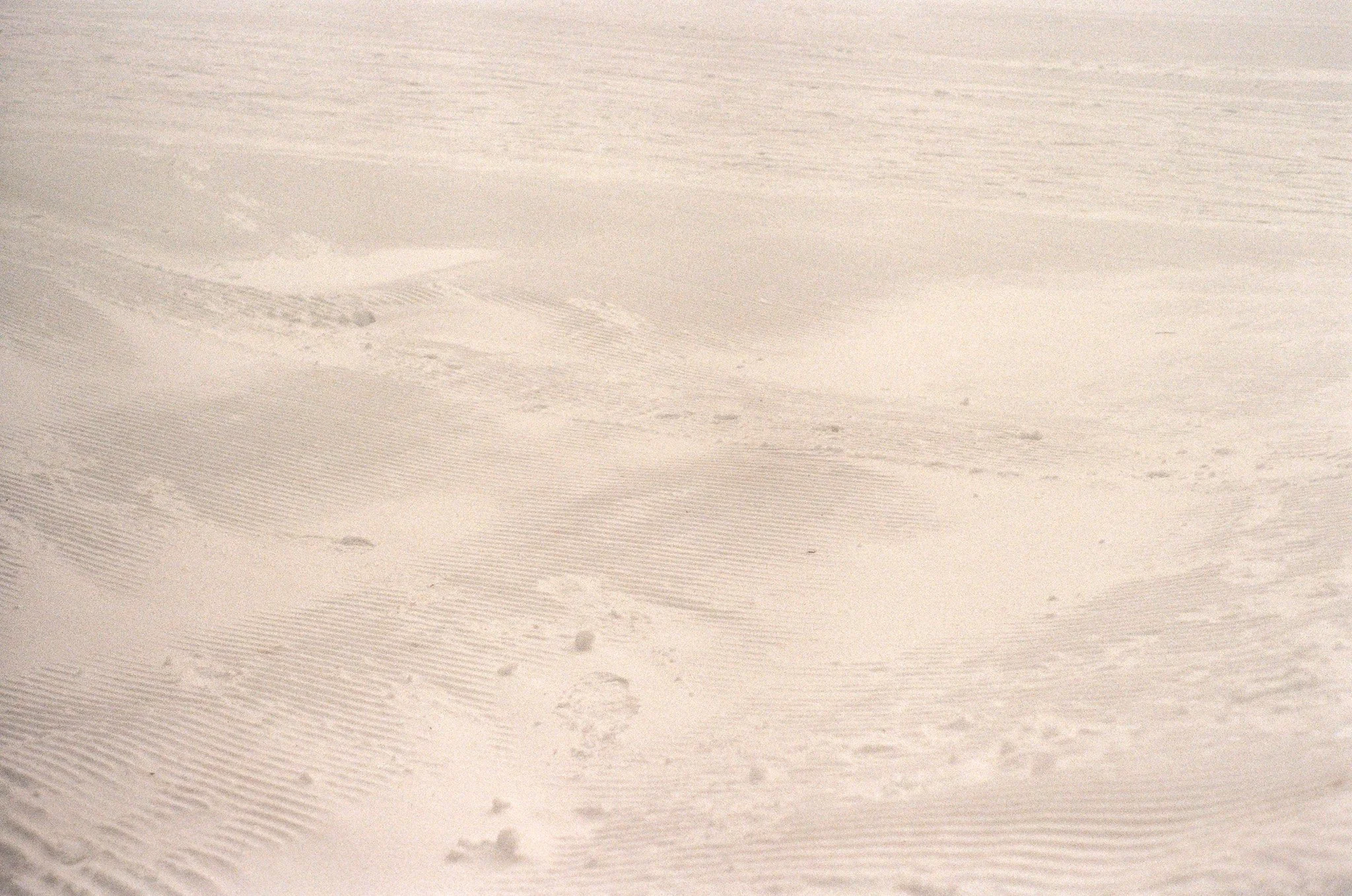 250117 Telfar Bathtub Brooklyn Night Lake Placid 31.jpg