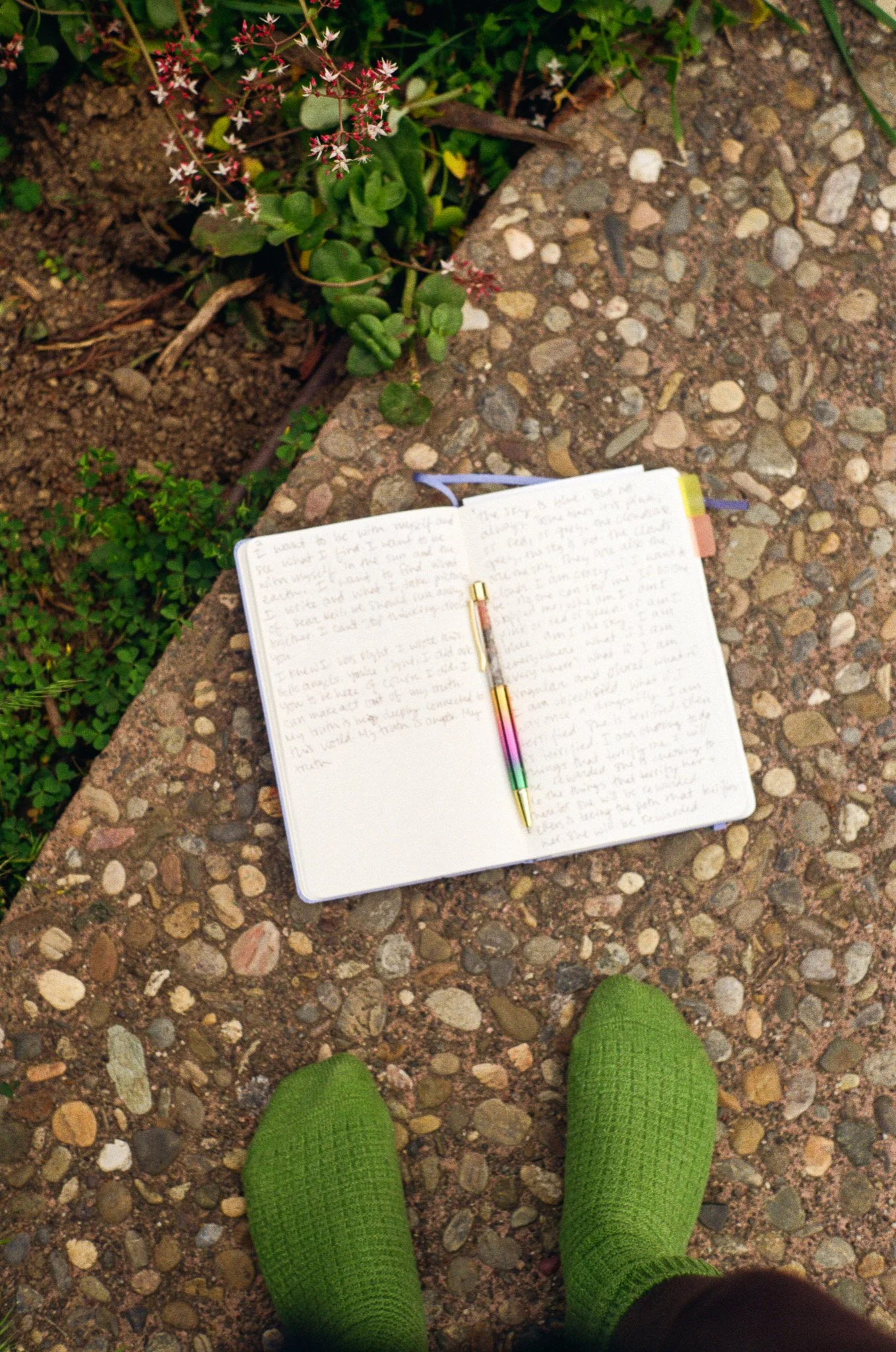 250416 Film Sebastopol Retreat 6.jpg