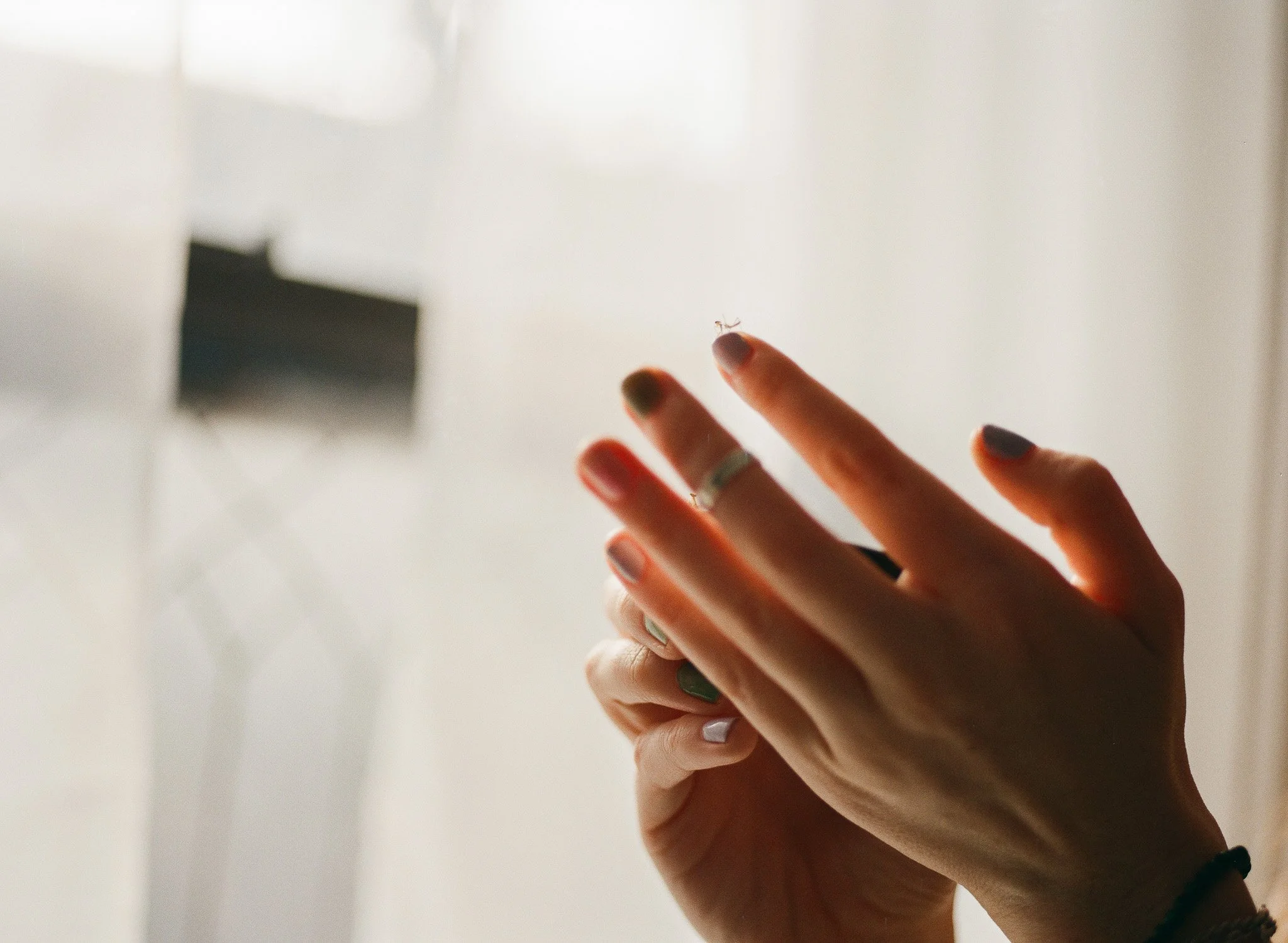 250410 Film Clarity Praying Mantis Babies Medium Format 10.jpg