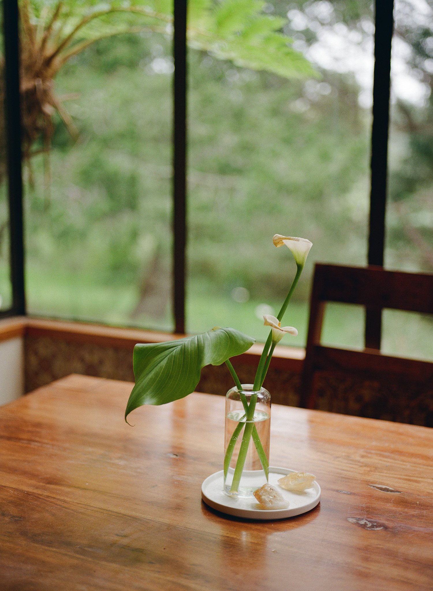 250417 Film Medium Format Sebastopol Retreat 32.jpg