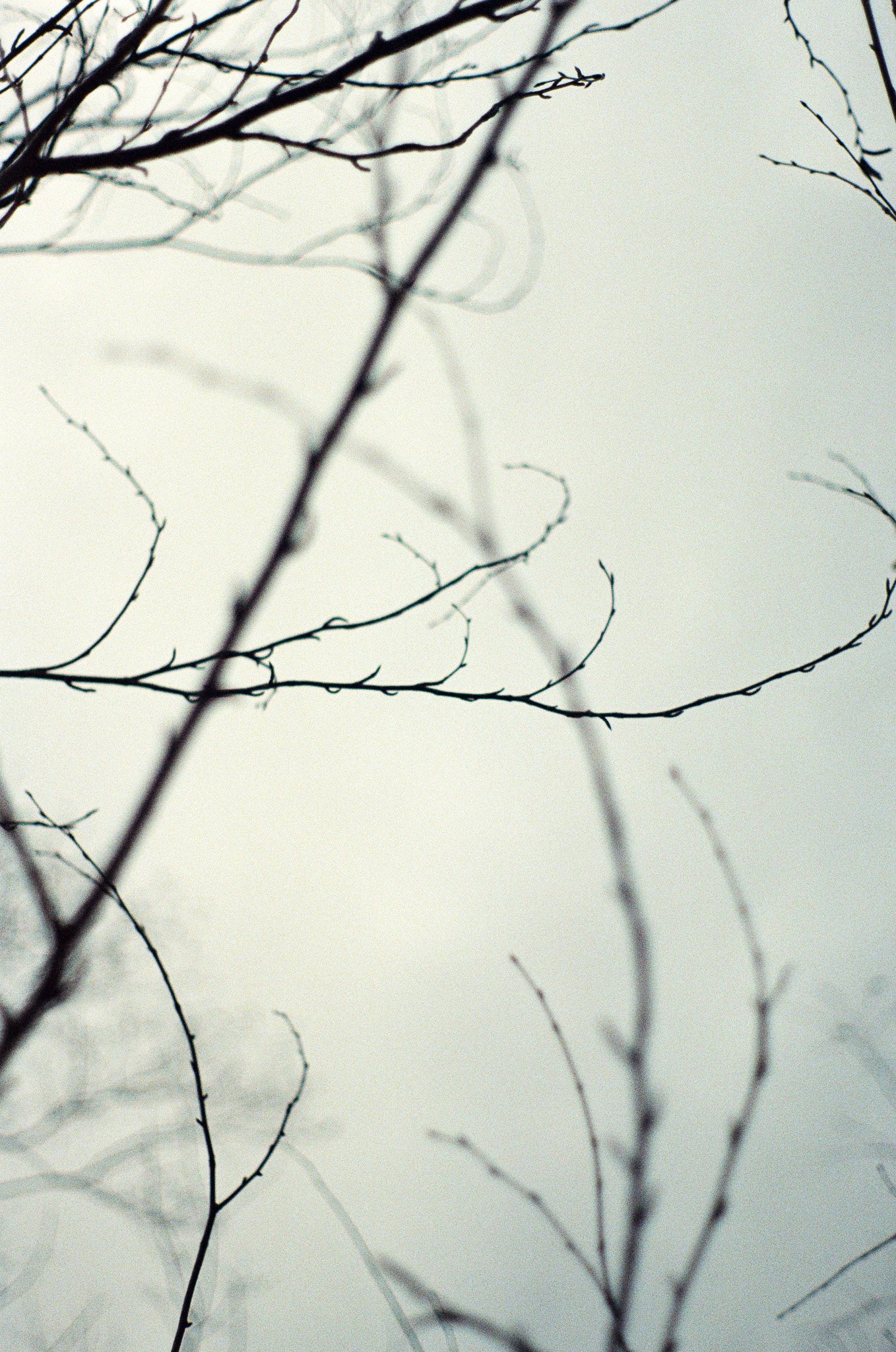 250118 Winter Upstate 2.jpg