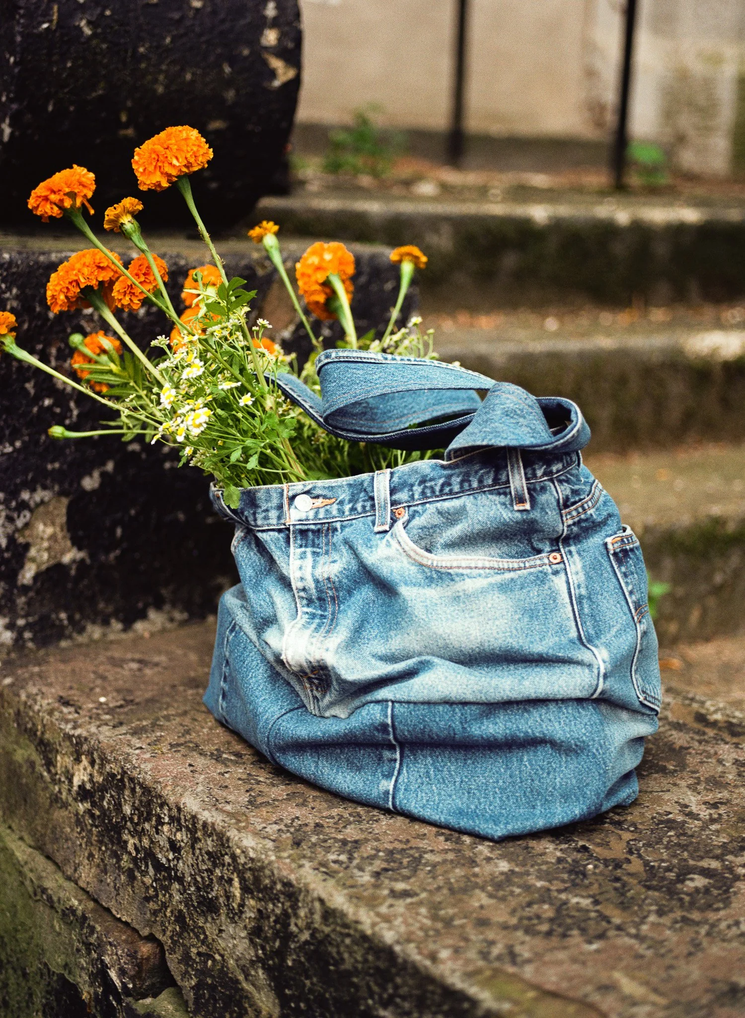 250708 Film Cardinal Shop Medium Format 1.jpg