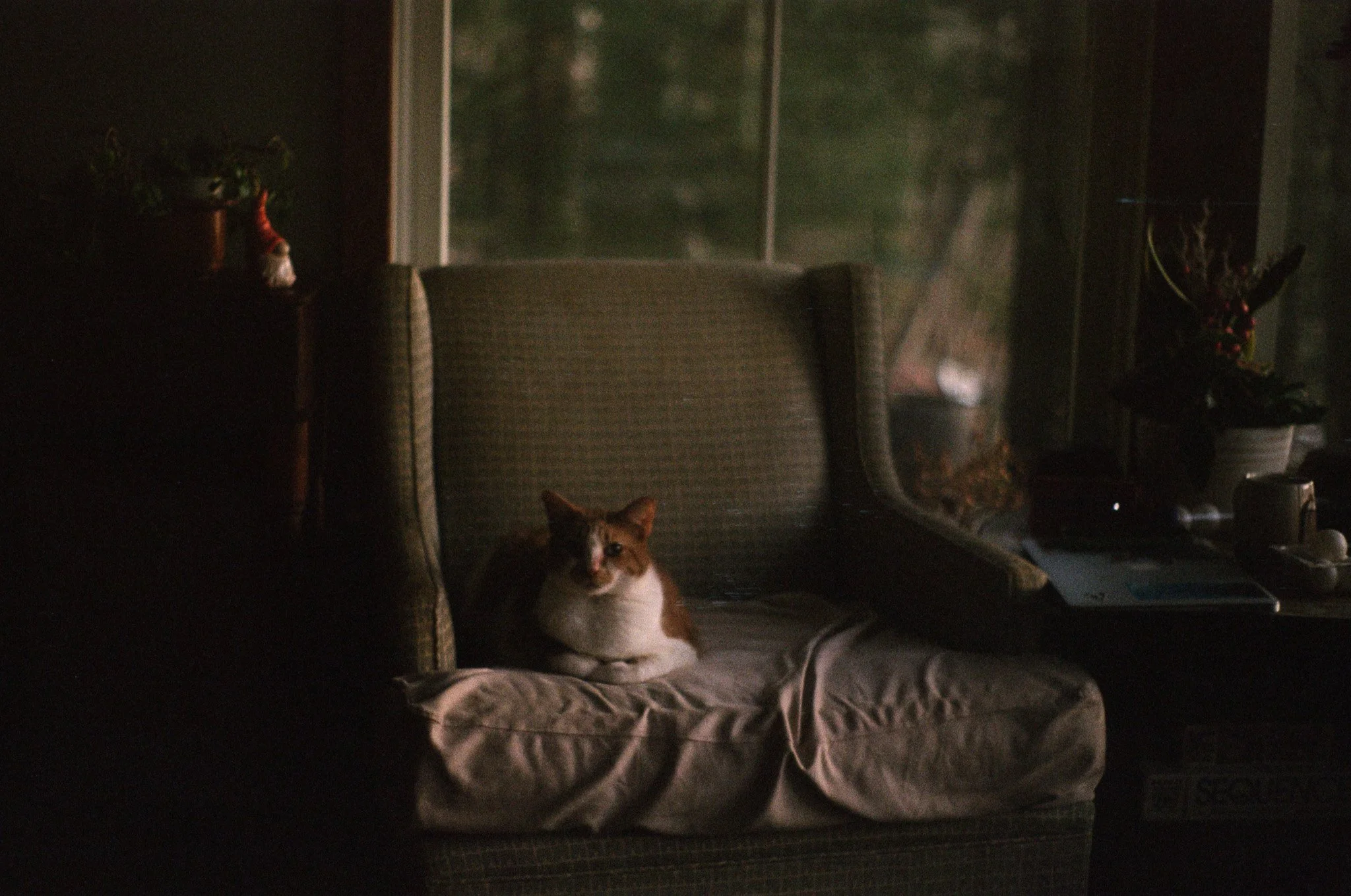 250403 Film Upstate NY Clarity Skyline 2.jpg