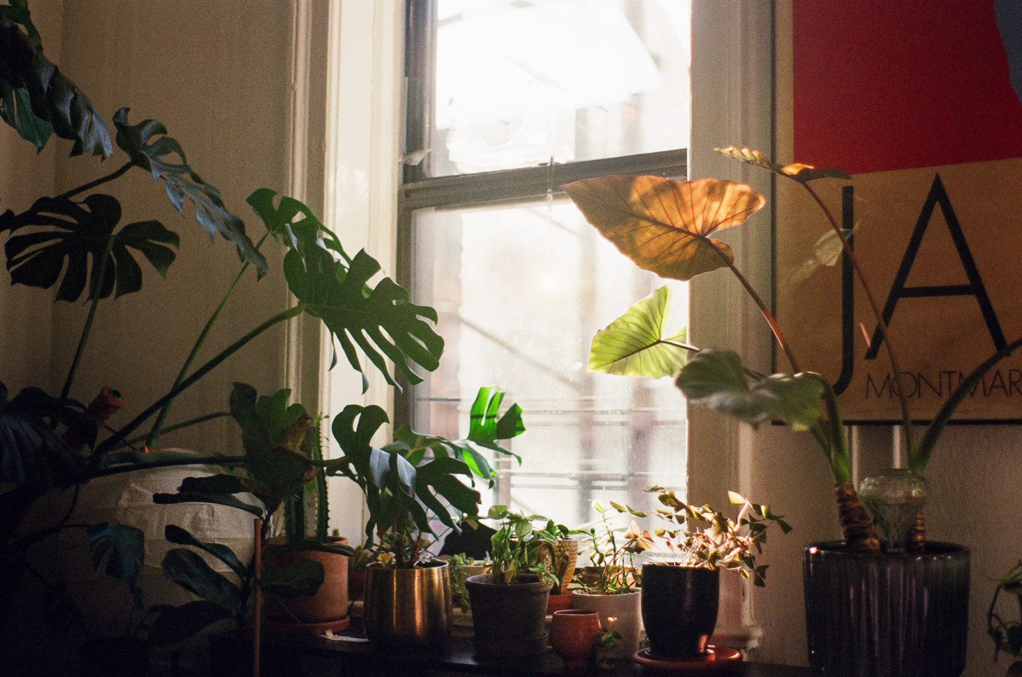 250118 Winter Home Brooklyn Adirondacks 8.jpg